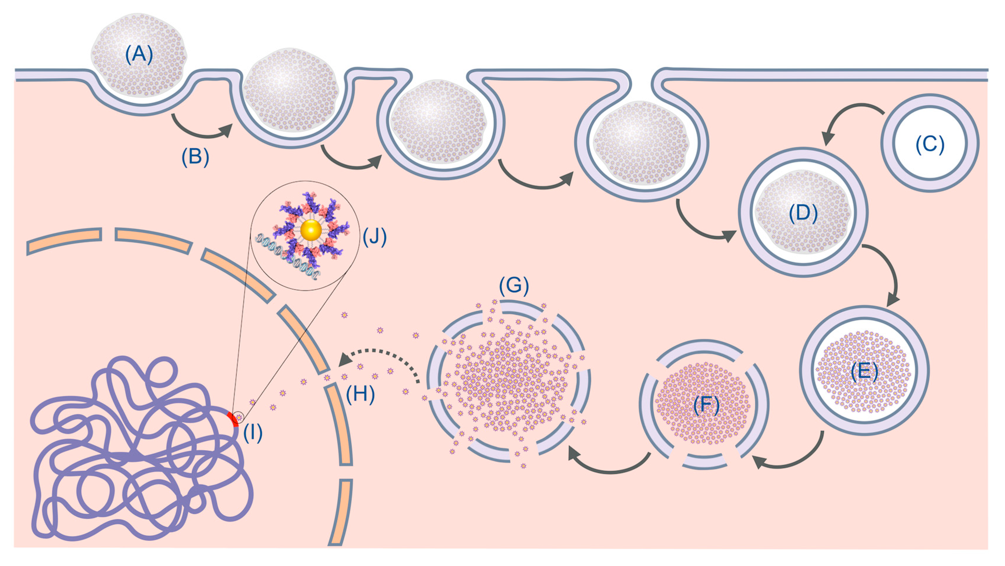 Nanomaterials 13 02802 g011