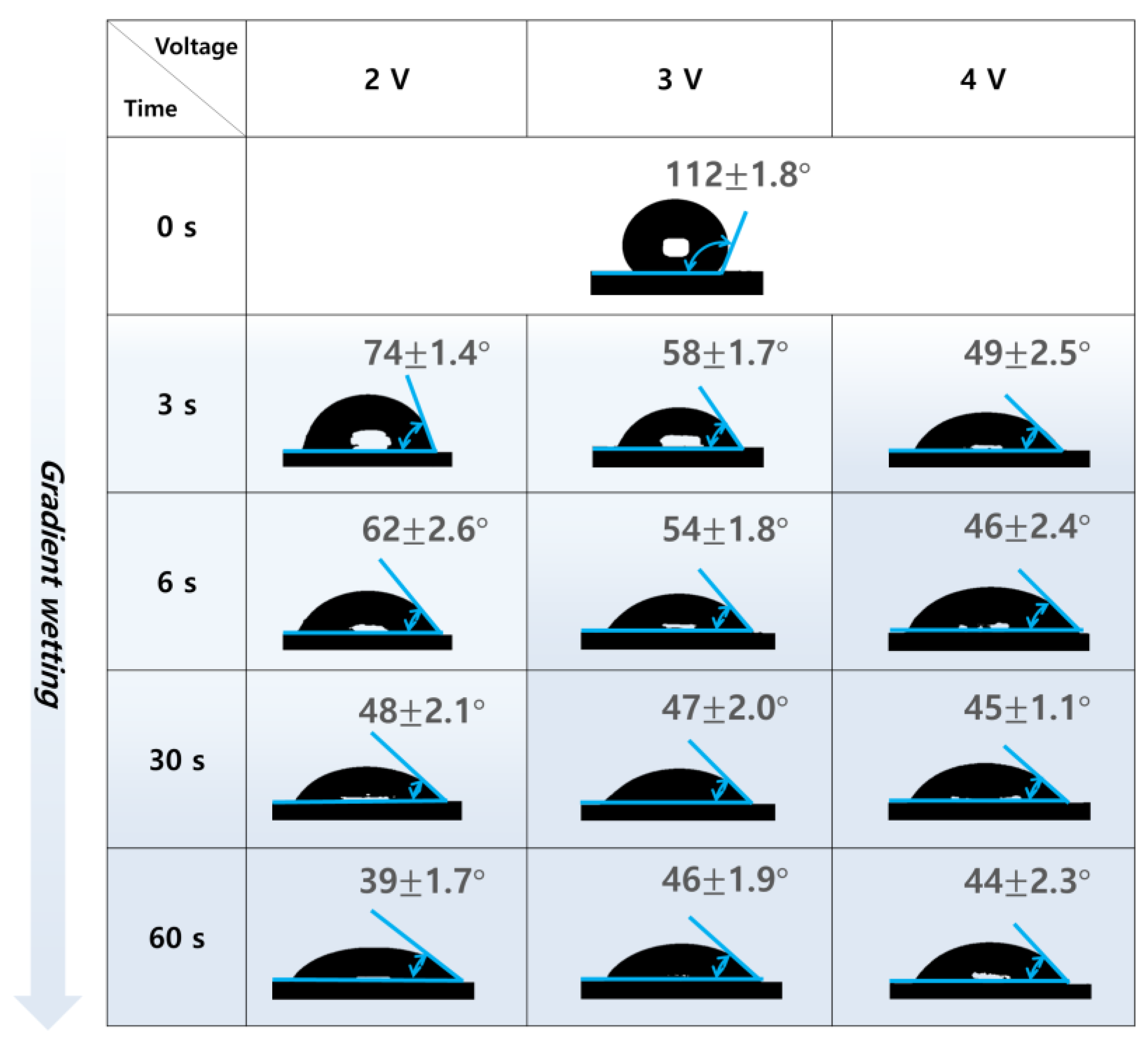 Nanomaterials 13 02834 g002