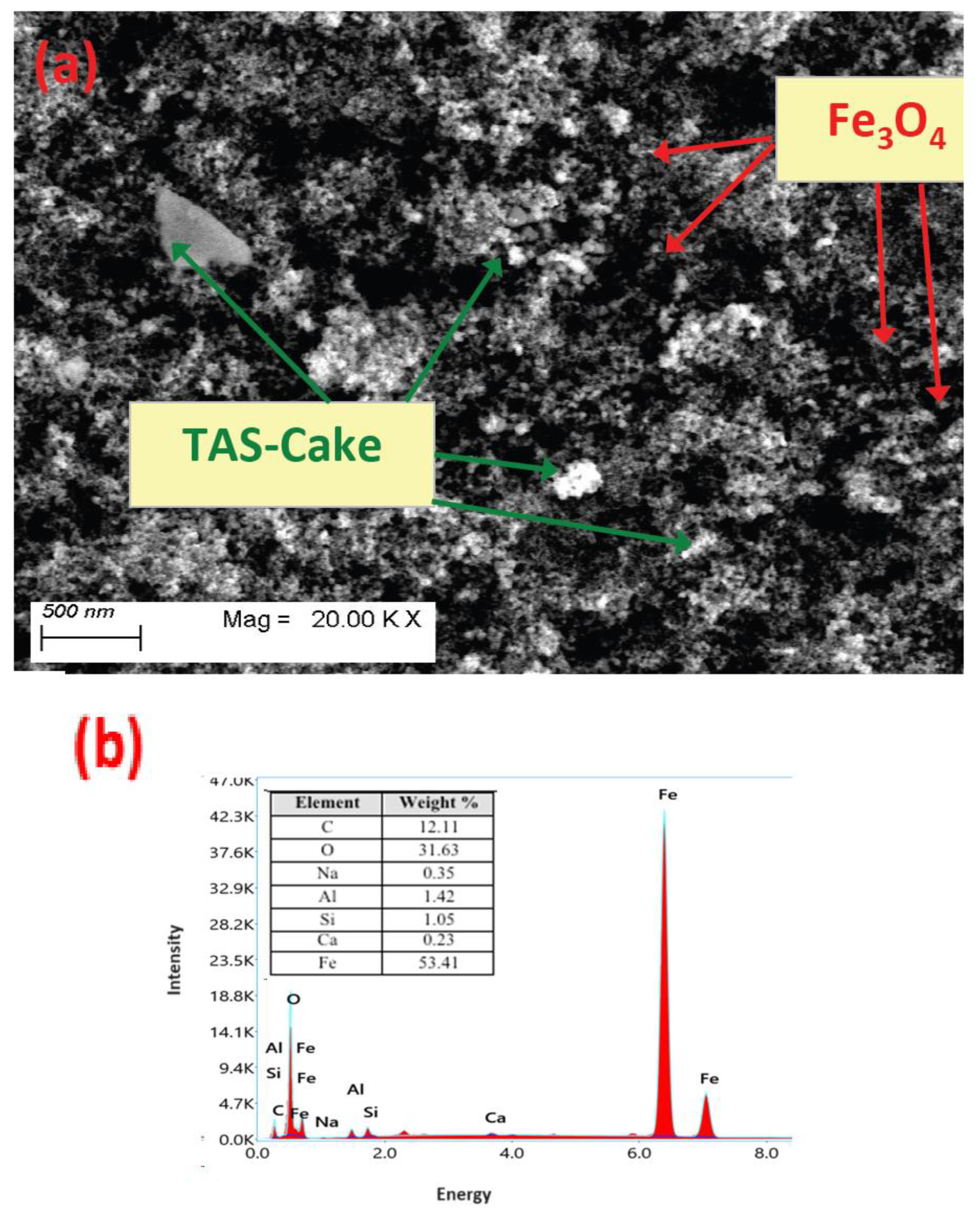 Nanomaterials 13 02903 g004