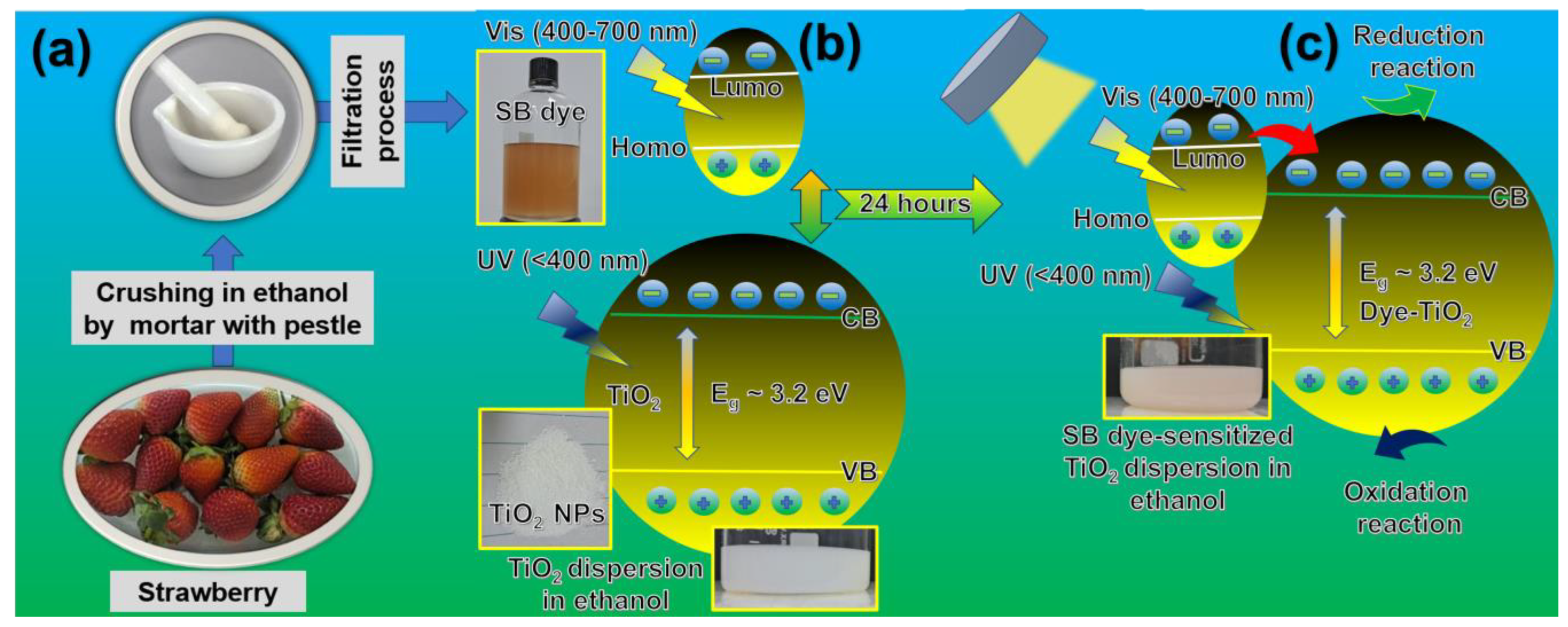 Nanomaterials 13 03001 g001