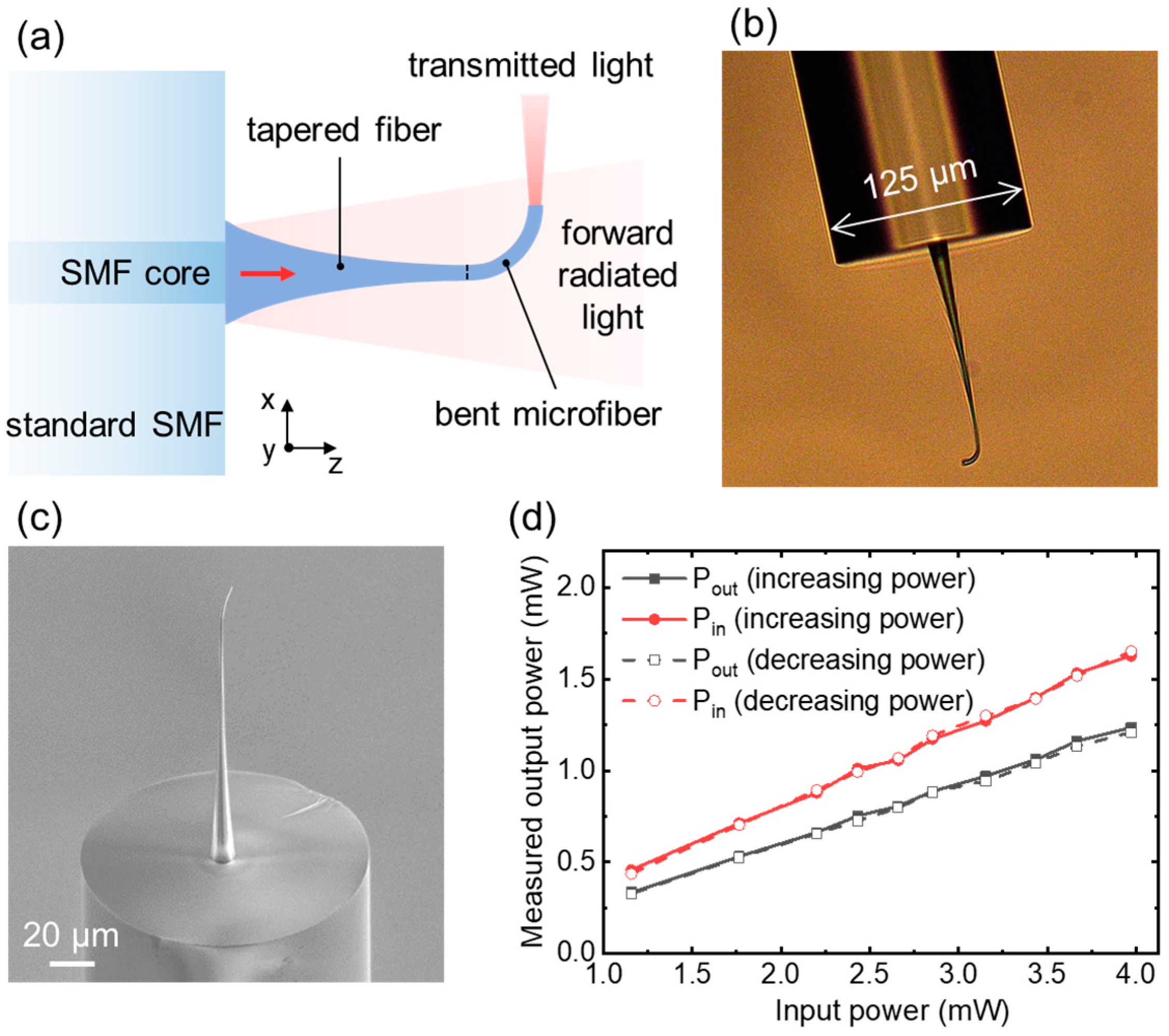 Nanomaterials 13 03003 g004