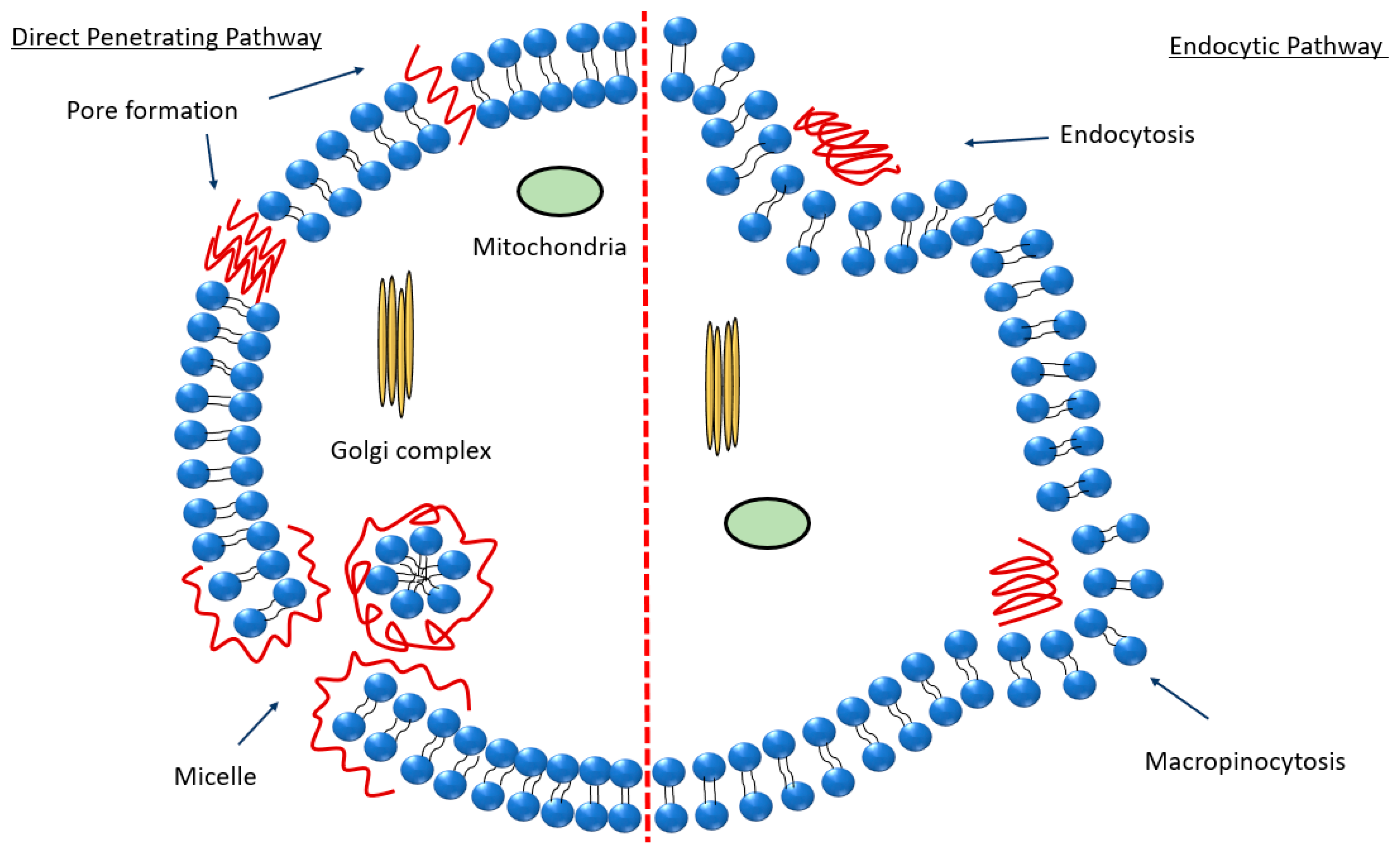 Nanomaterials 13 03004 g003