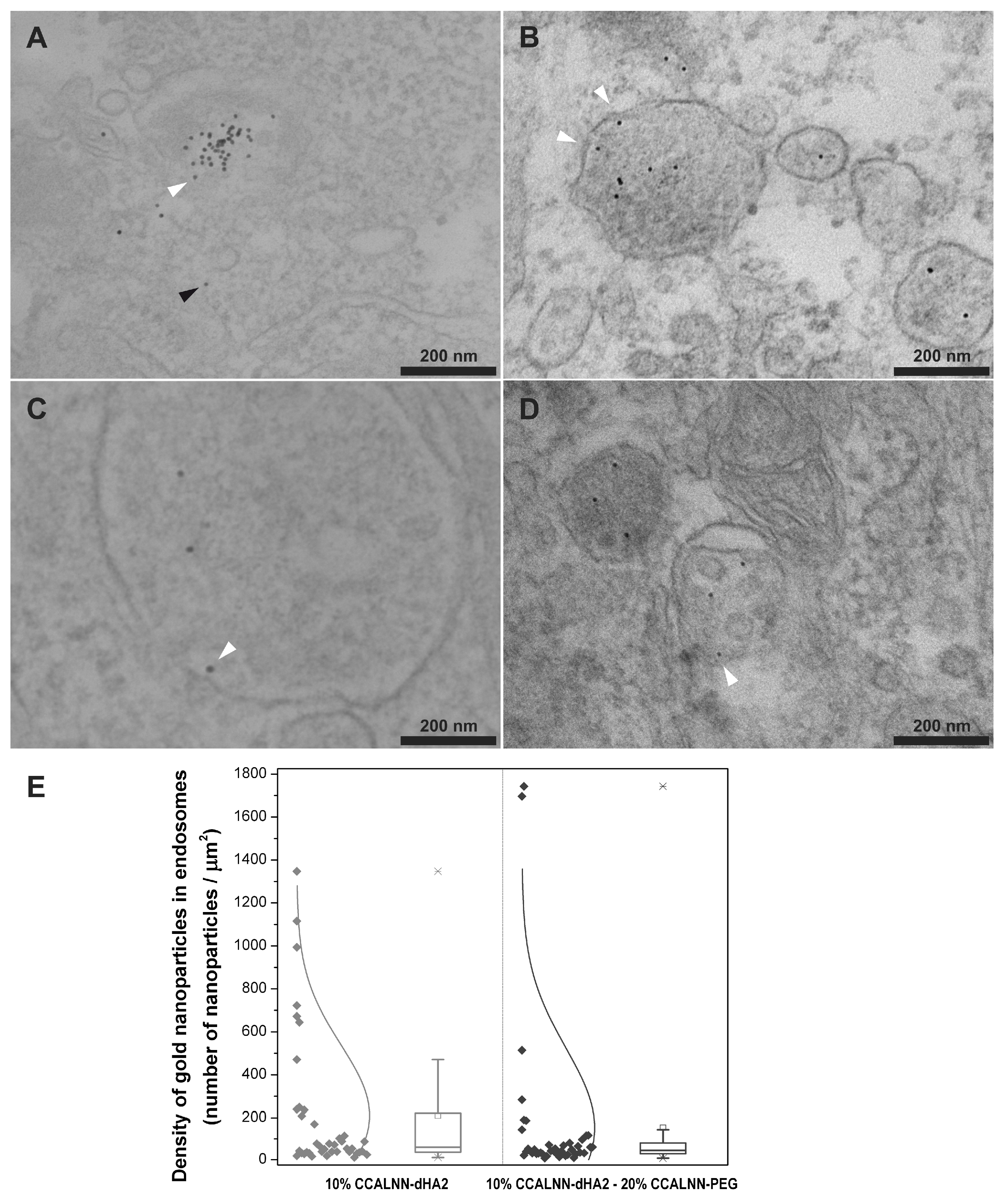Nanomaterials 13 03004 g004