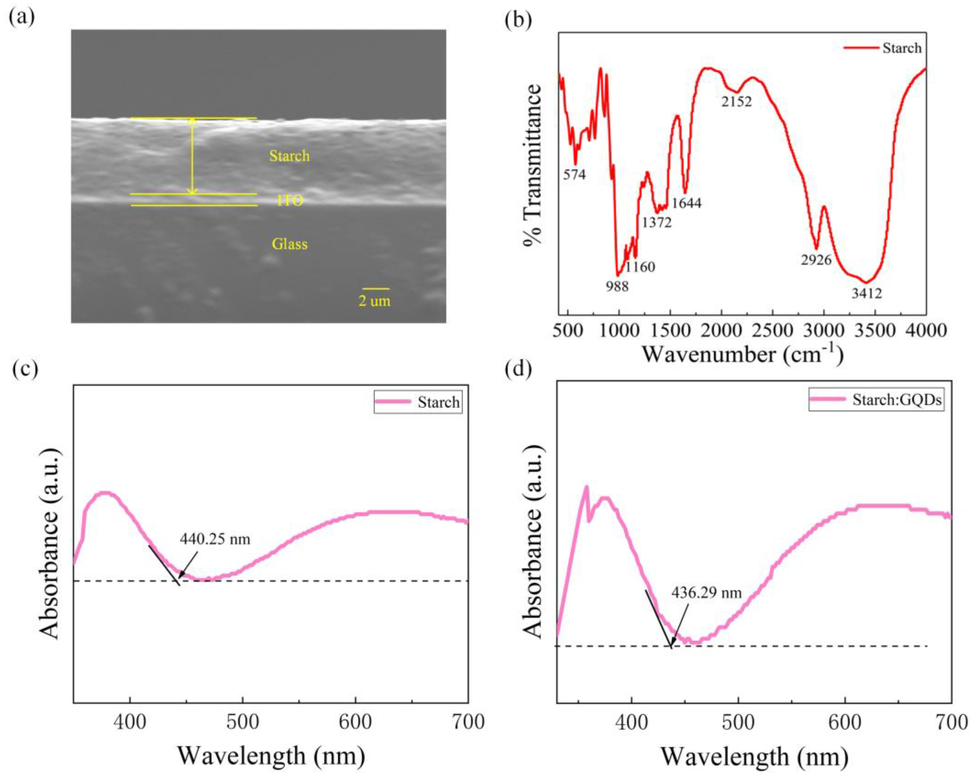 Nanomaterials 13 03021 g001