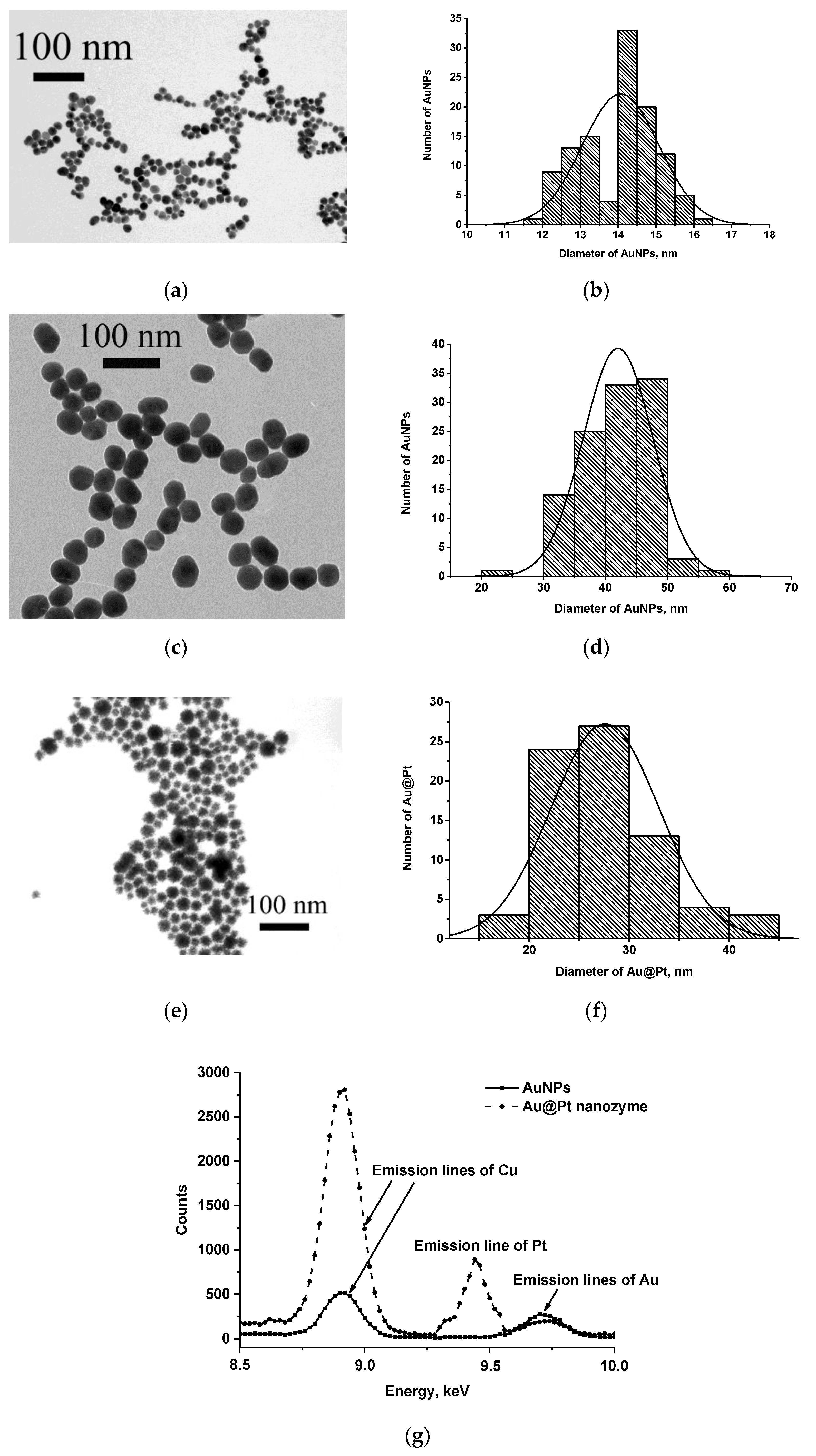 Nanomaterials 13 03074 g002