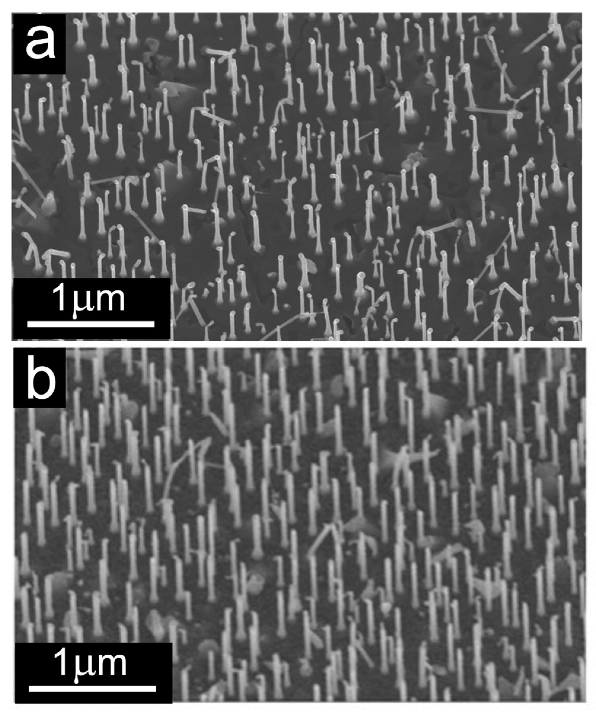 Nanomaterials 13 03083 g006