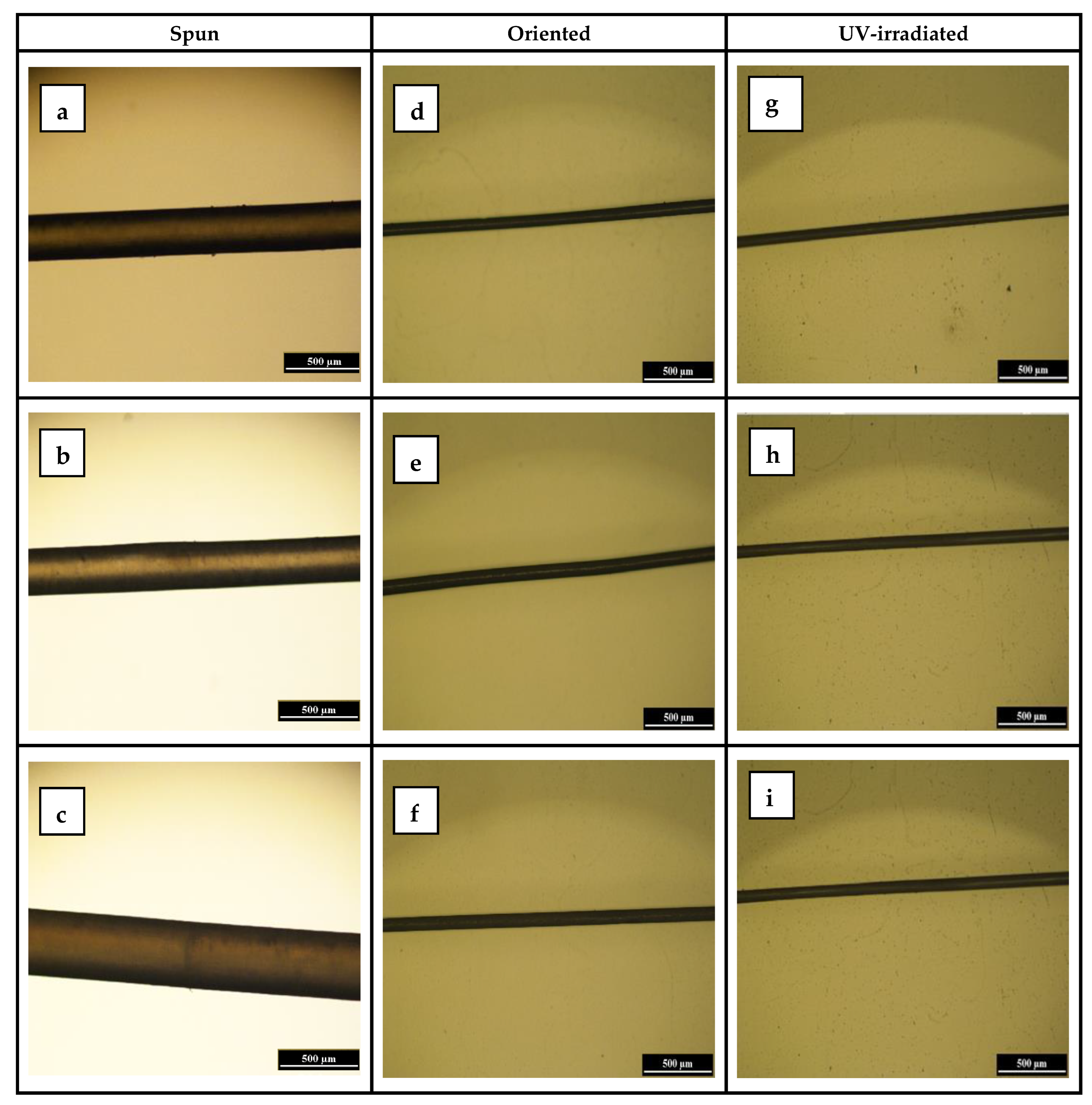 Nanomaterials 13 03131 g010