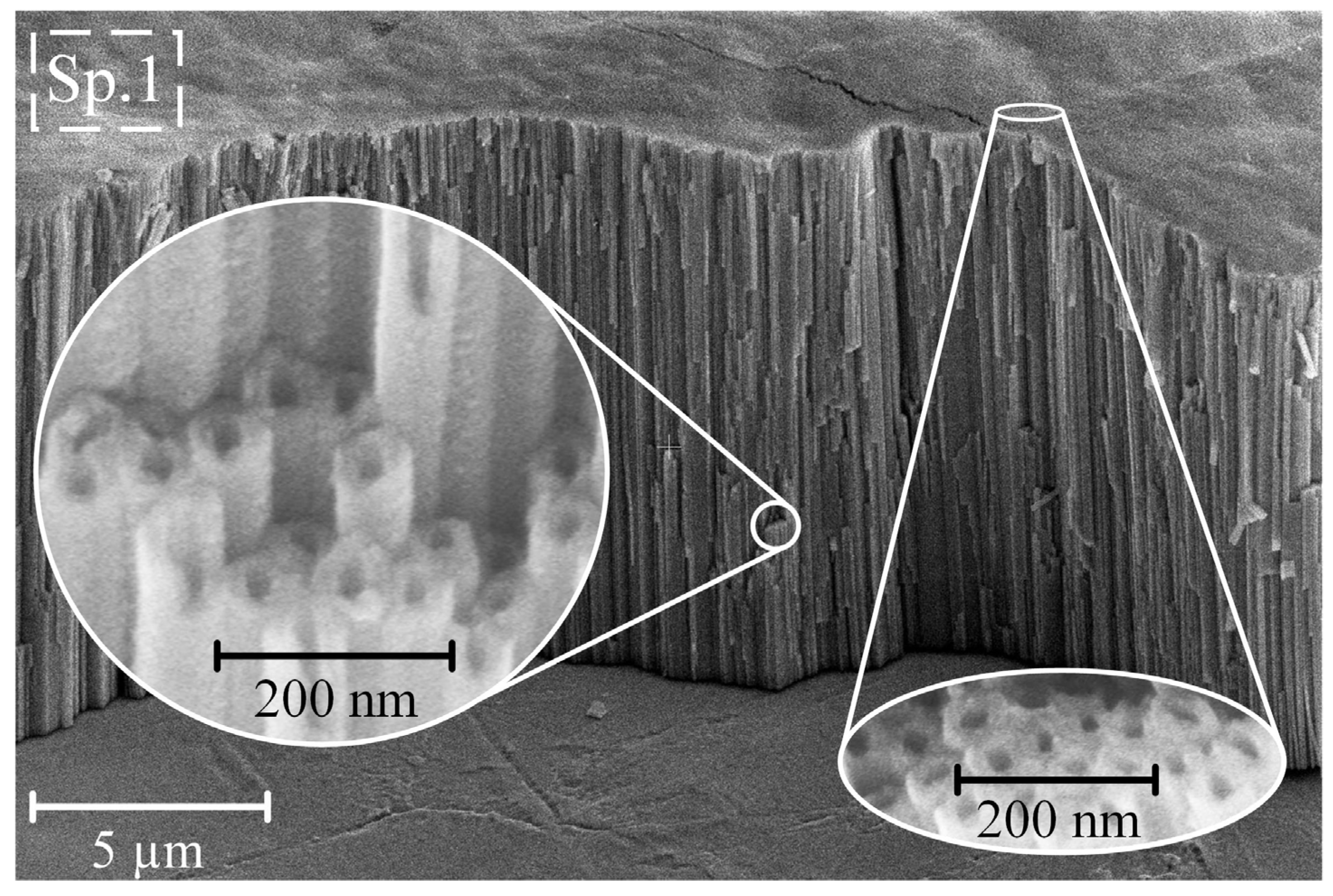 Nanomaterials 14 00015 g002