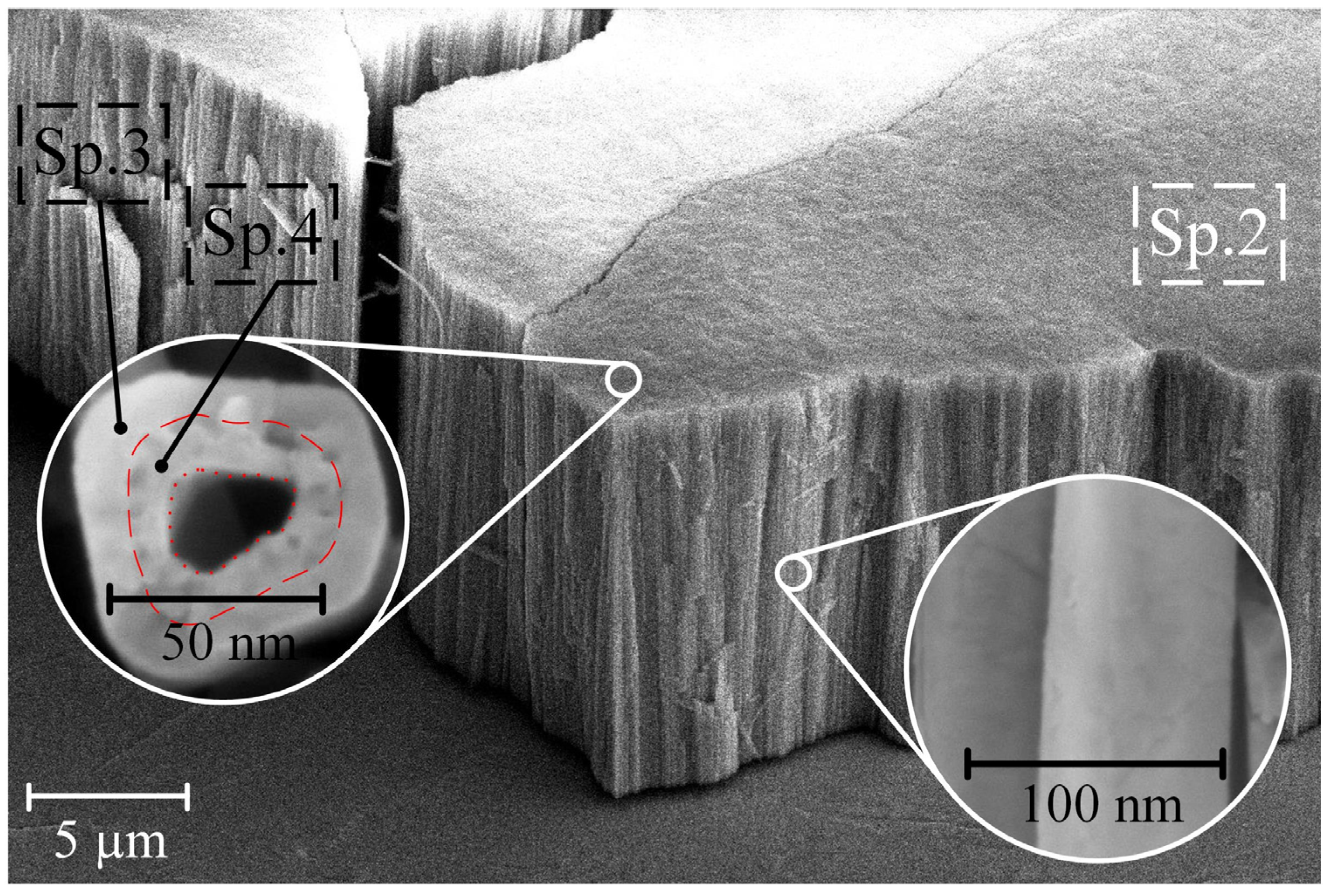 Nanomaterials 14 00015 g003
