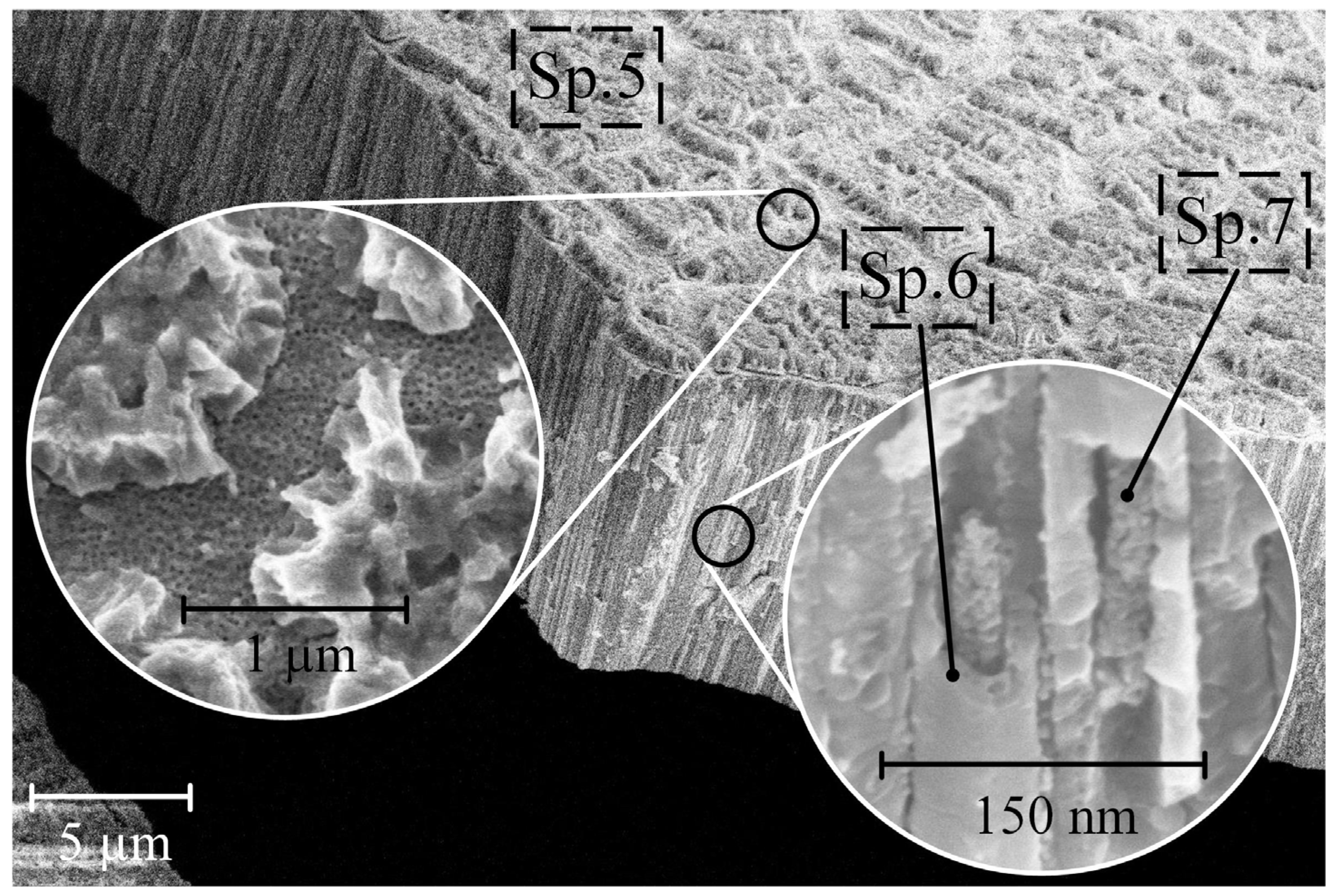 Nanomaterials 14 00015 g004
