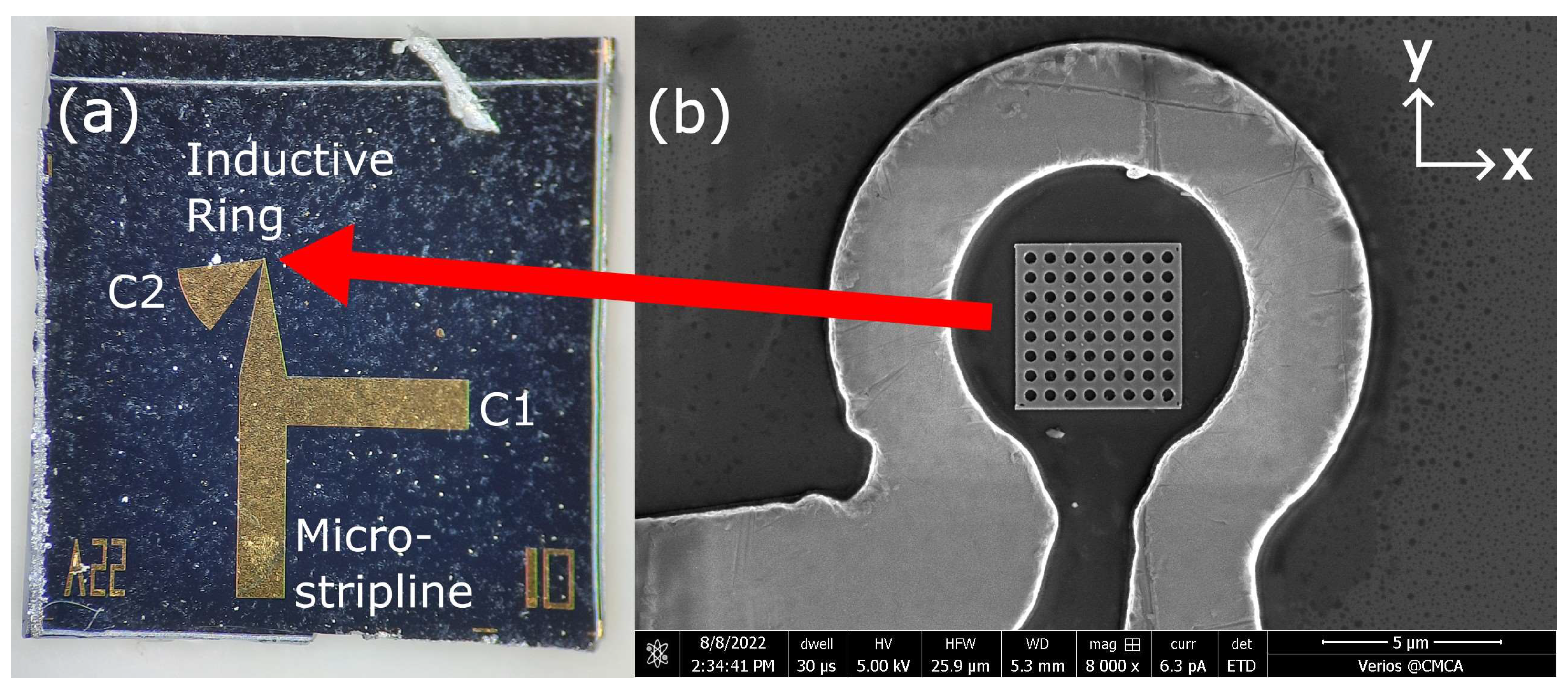 Nanomaterials 14 00019 g001