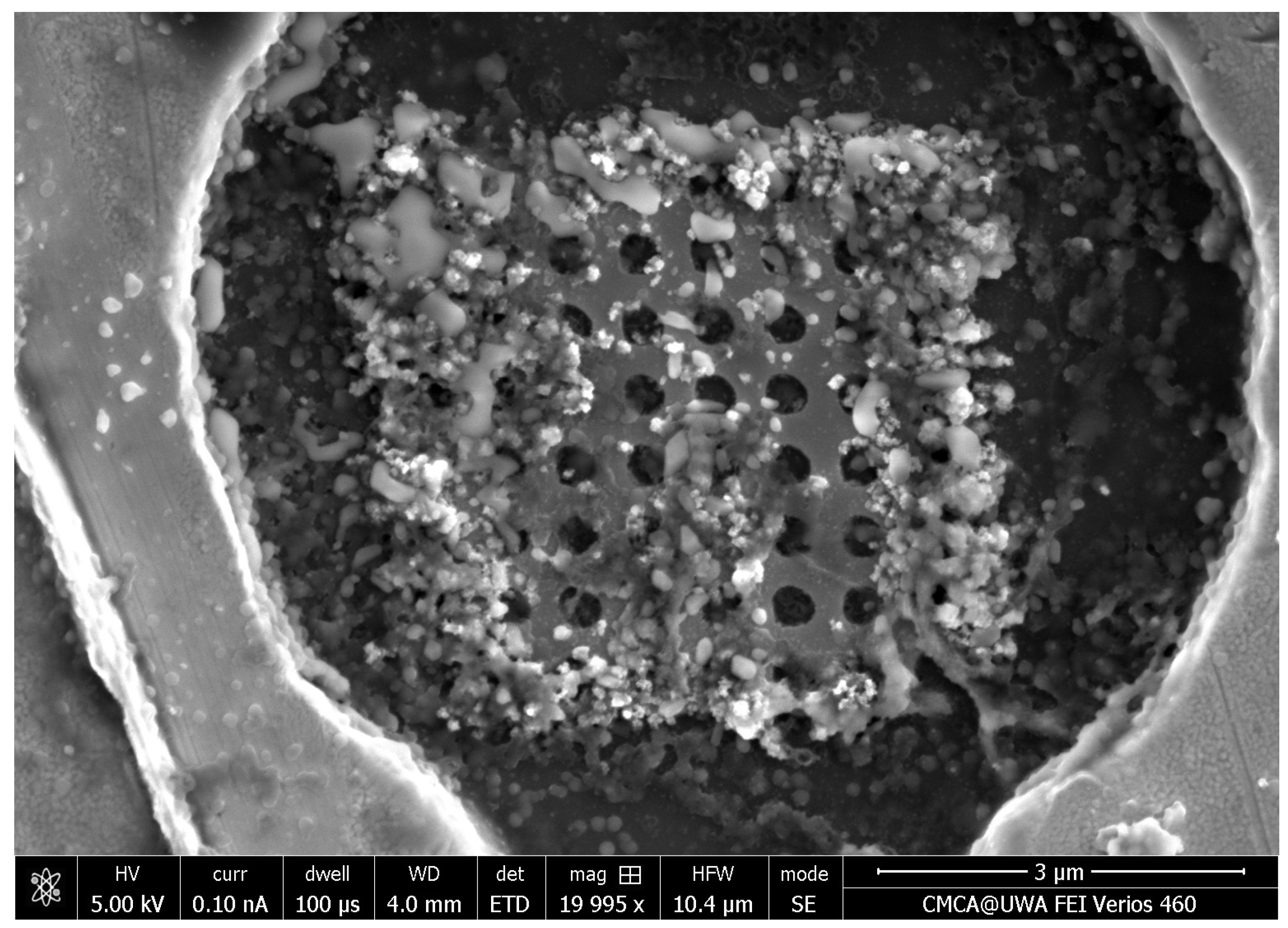 Nanomaterials 14 00019 g0a3