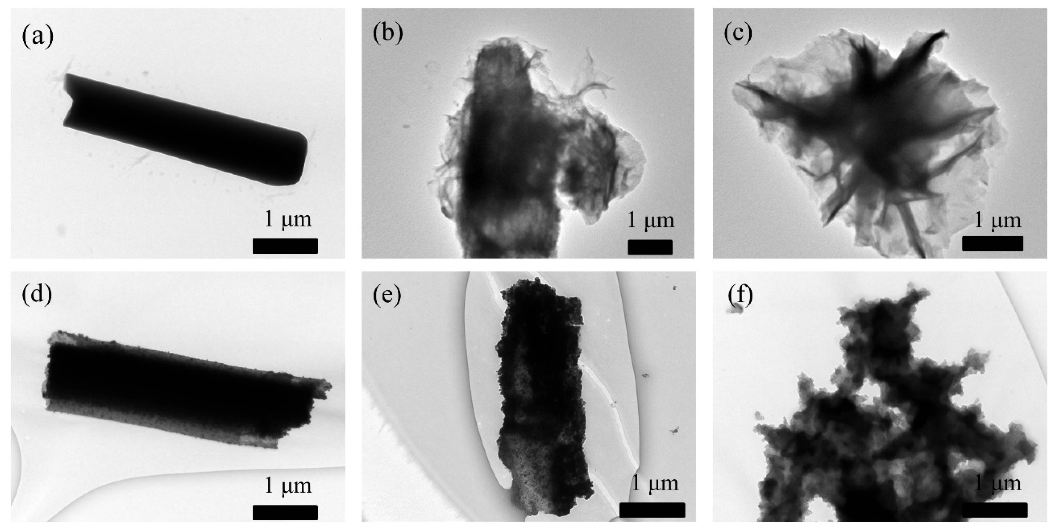 Nanomaterials 14 00022 g003
