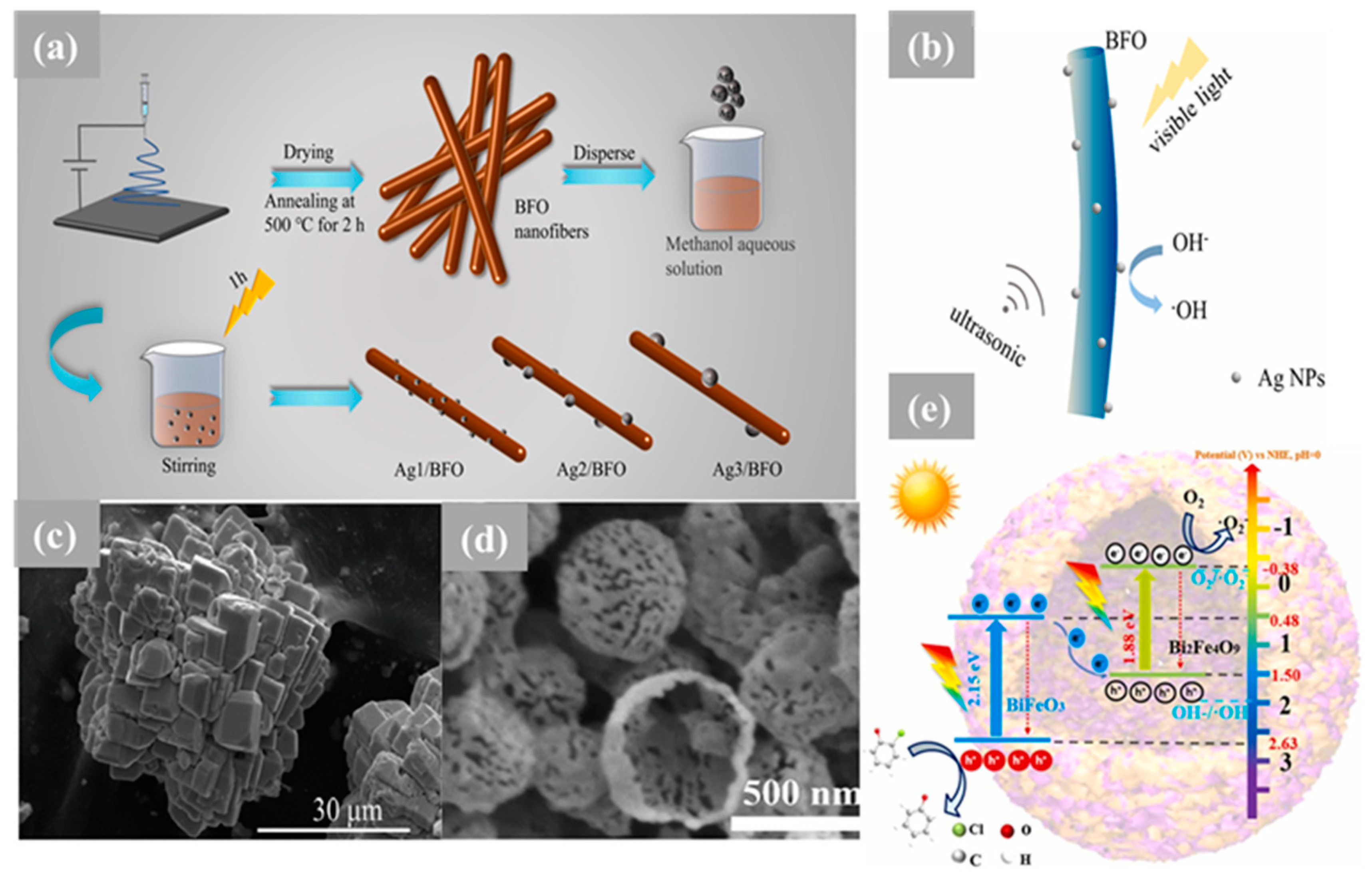 Nanomaterials 14 00051 g005