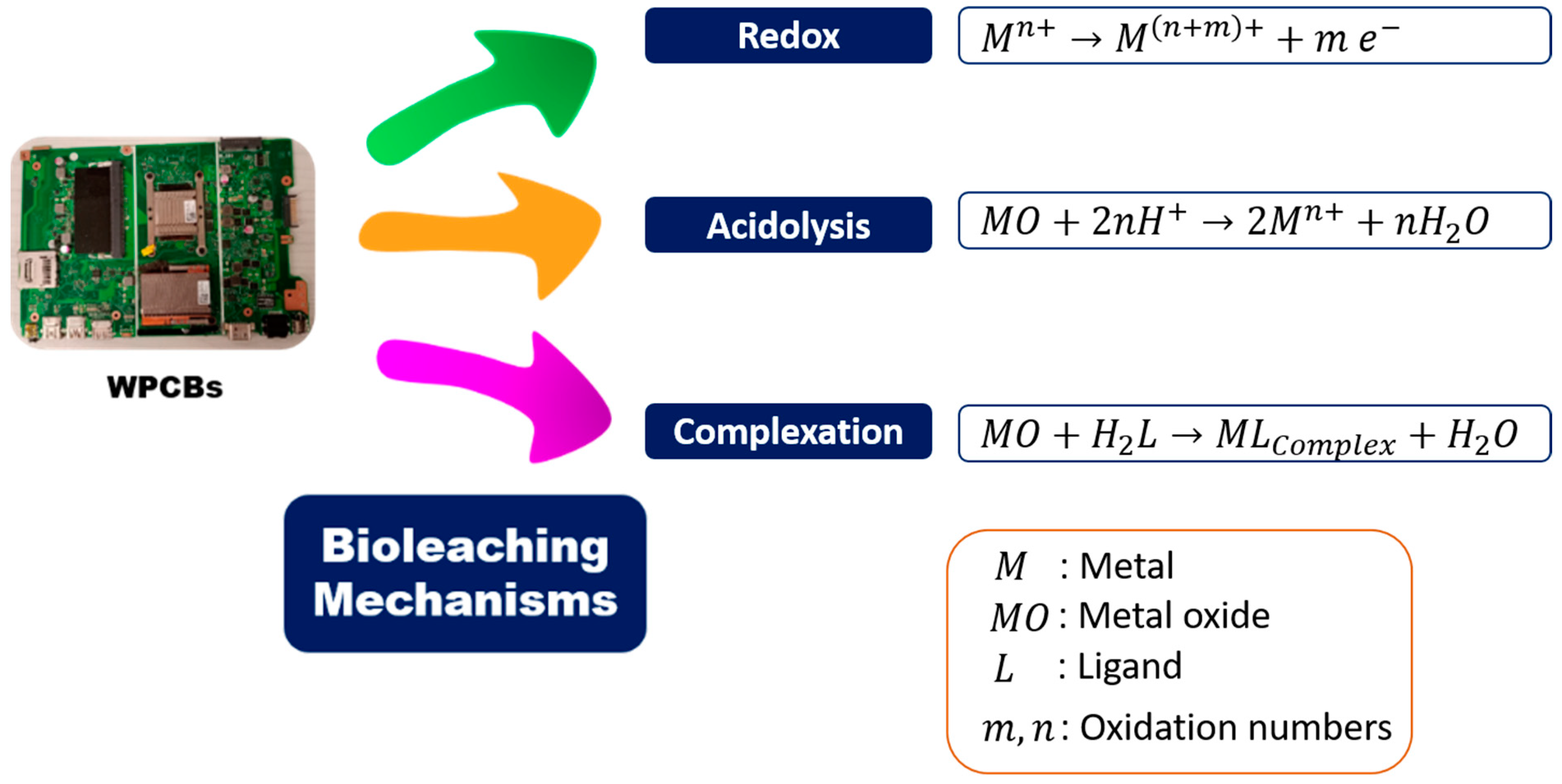 Nanomaterials 14 00069 g004