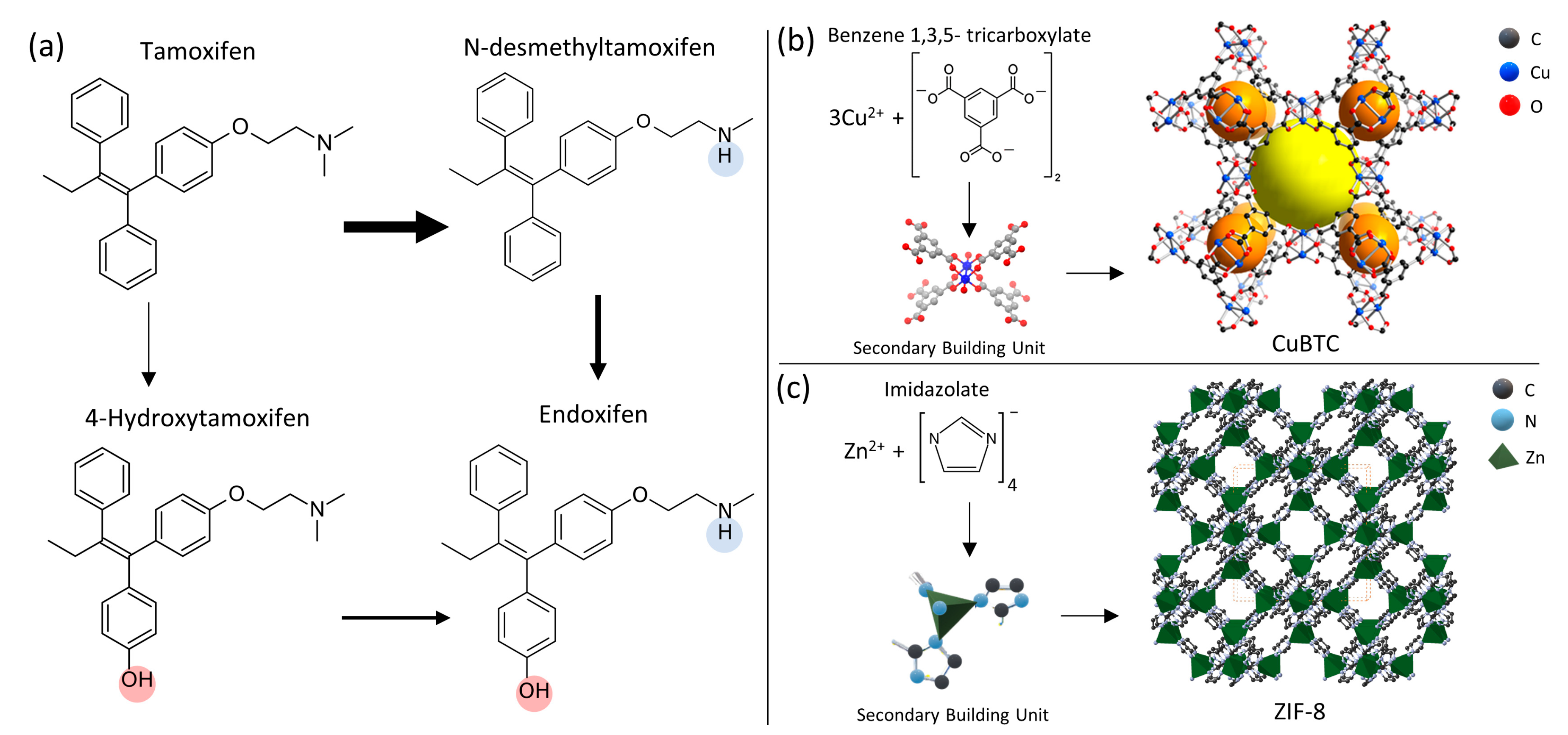 Nanomaterials 14 00073 g001