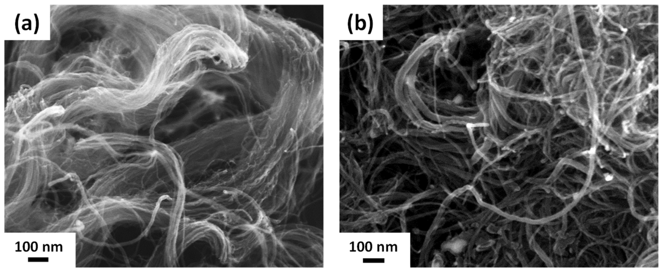 Nanomaterials 14 00162 g002