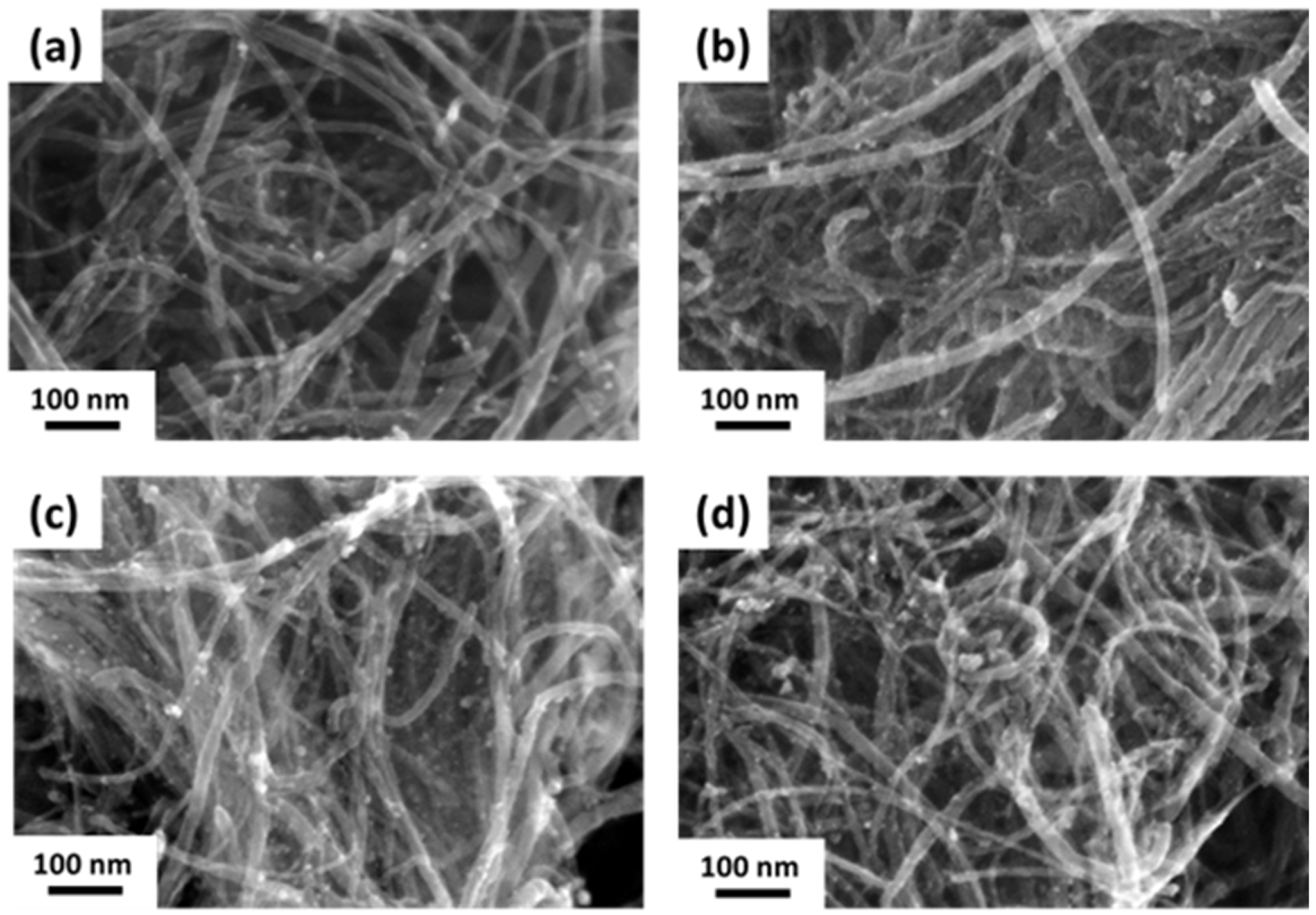 Nanomaterials 14 00162 g004