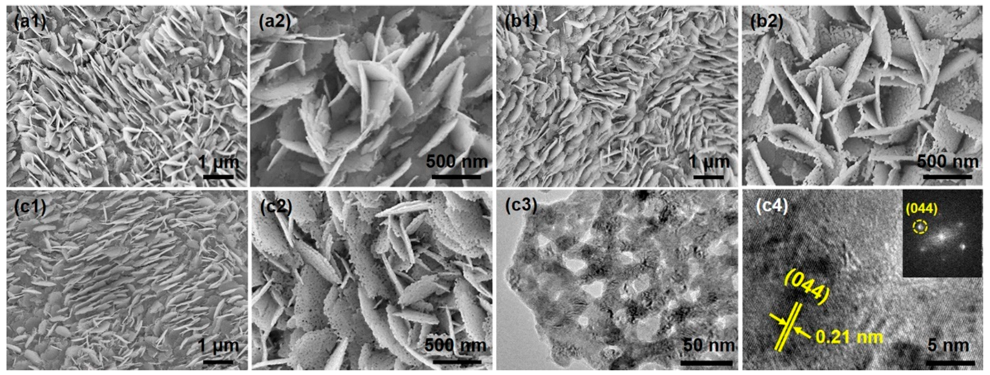 Nanomaterials 14 00185 g001