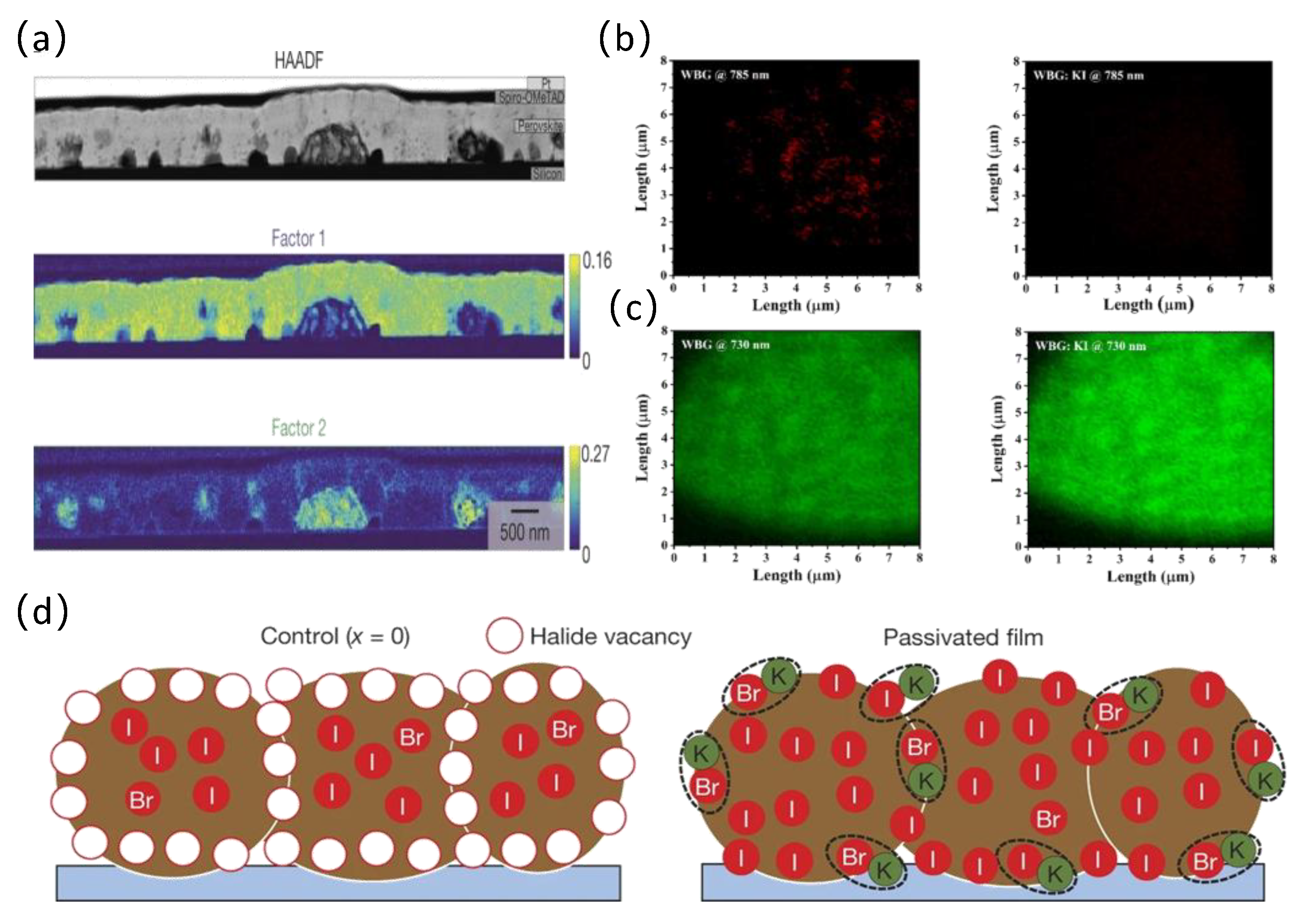 Nanomaterials 14 00202 g004