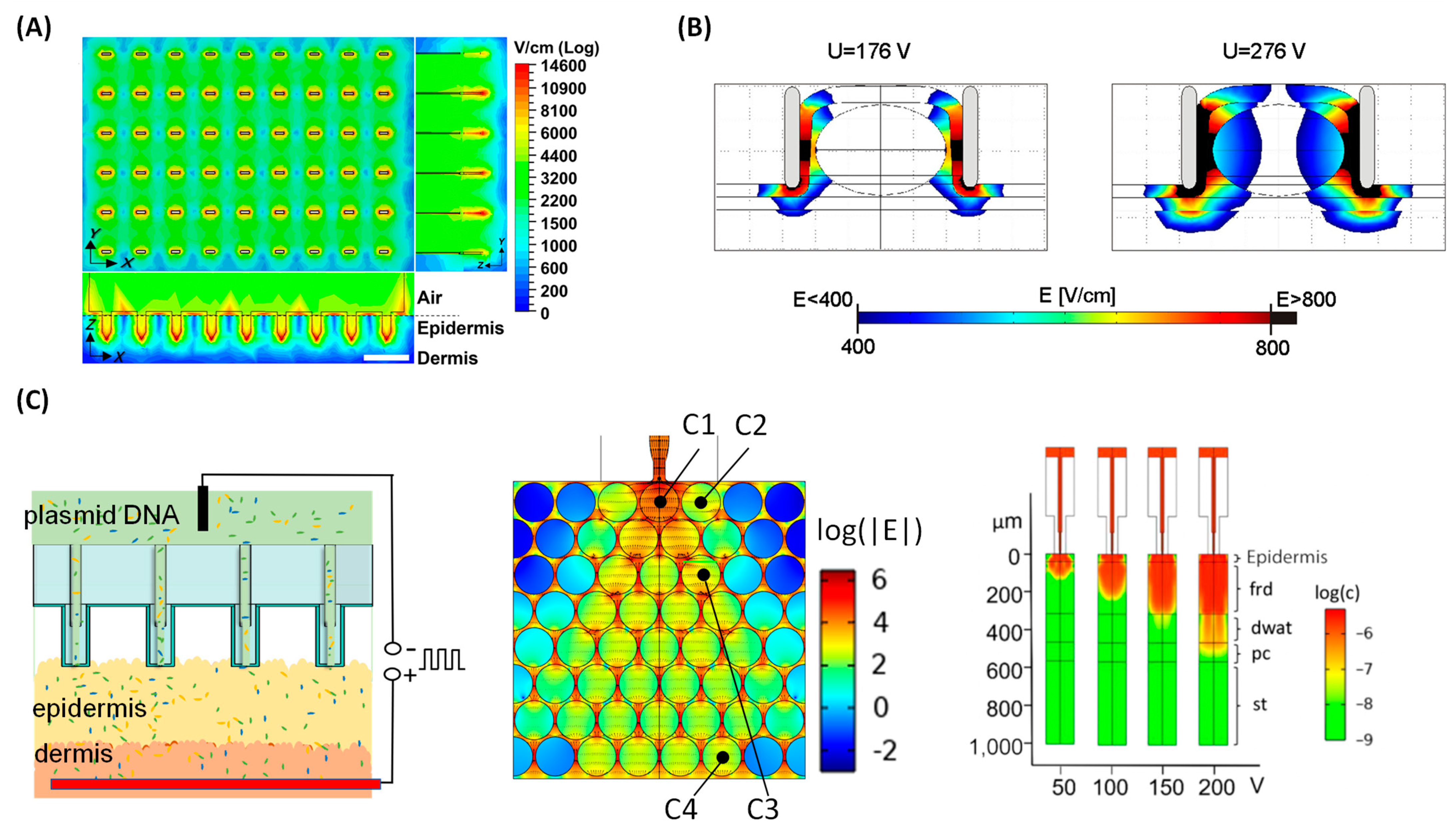 Nanomaterials 14 00217 g003