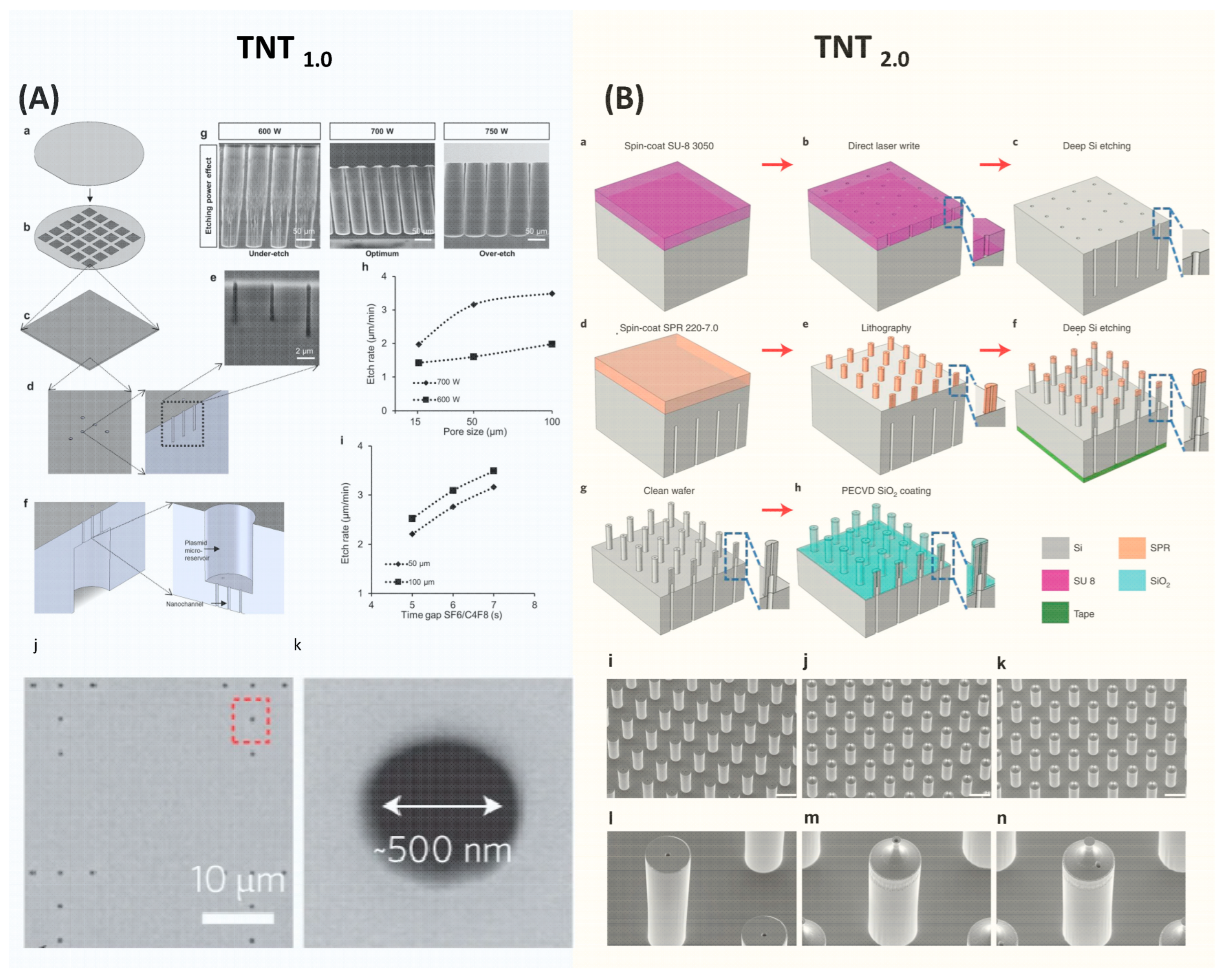Nanomaterials 14 00217 g005