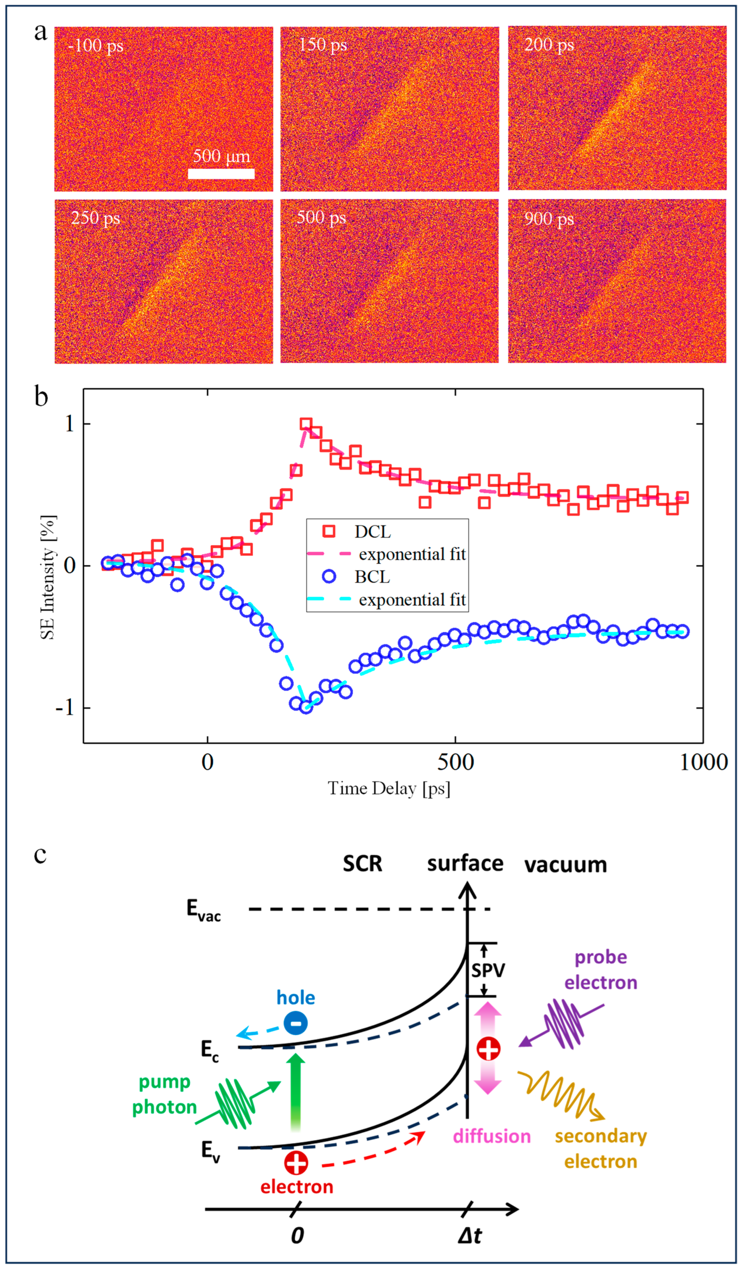 Nanomaterials 14 00310 g003