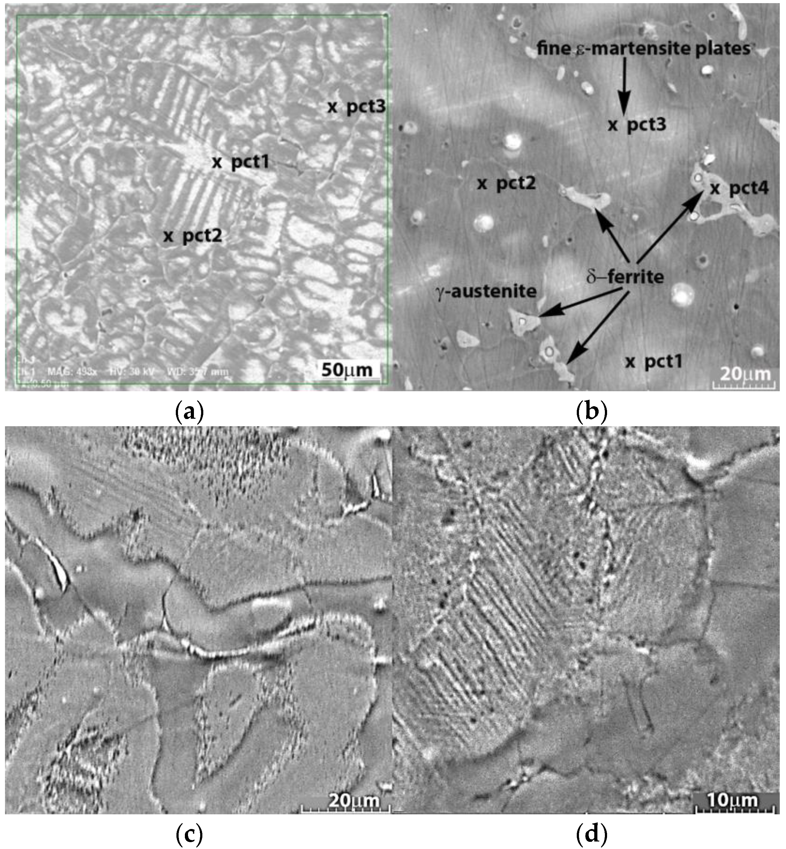 Nanomaterials 14 00330 g001