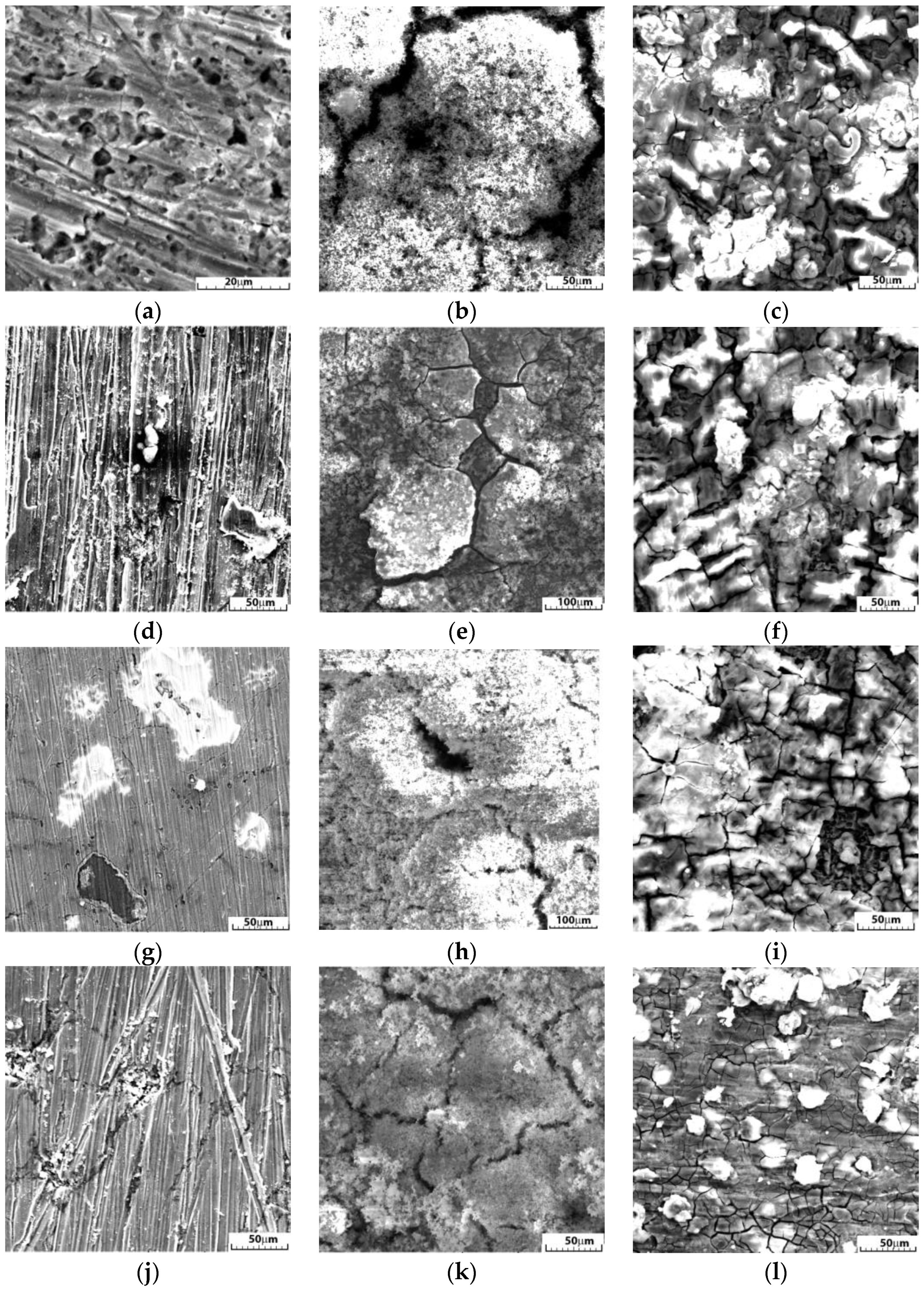 Nanomaterials 14 00330 g007