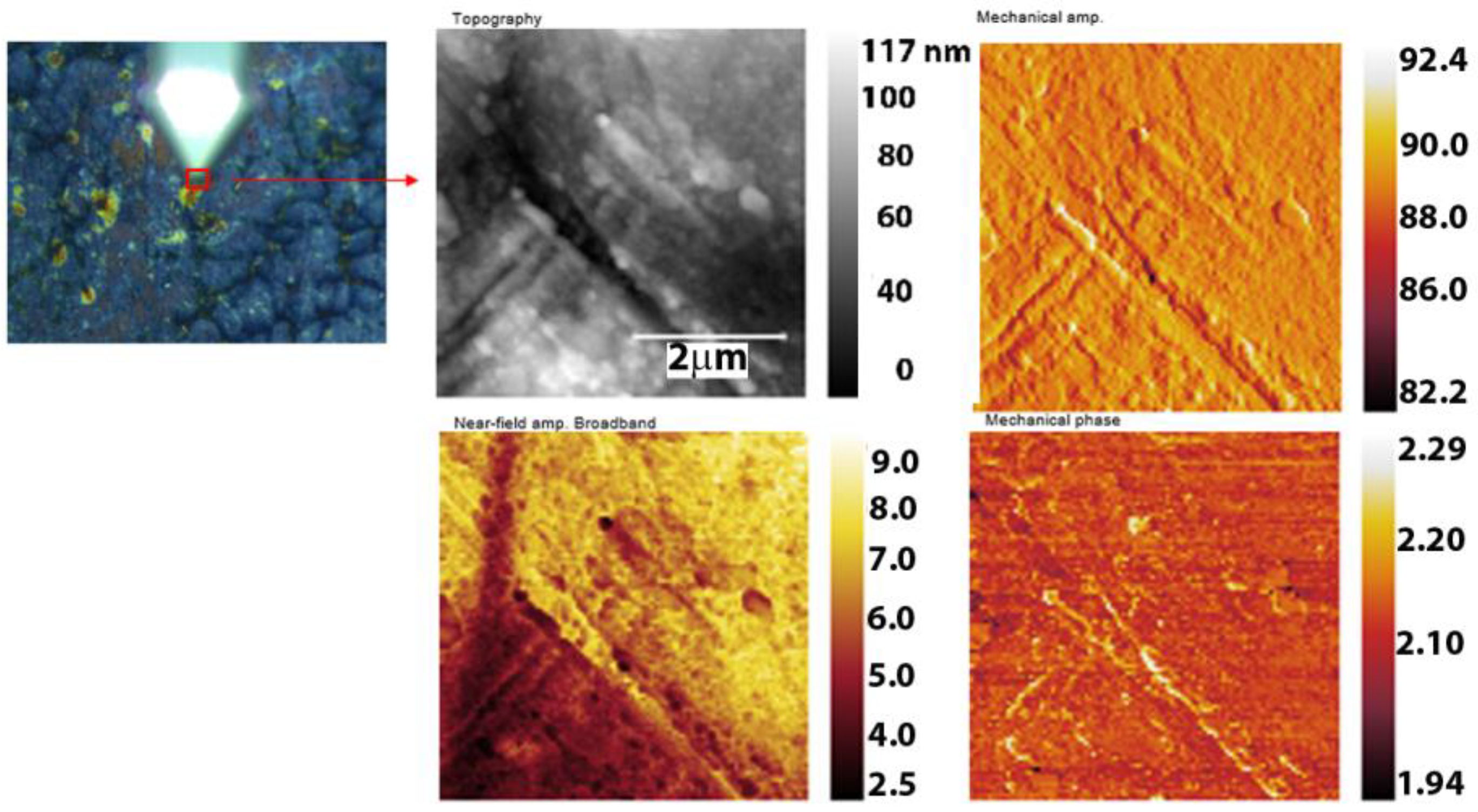 Nanomaterials 14 00330 g011