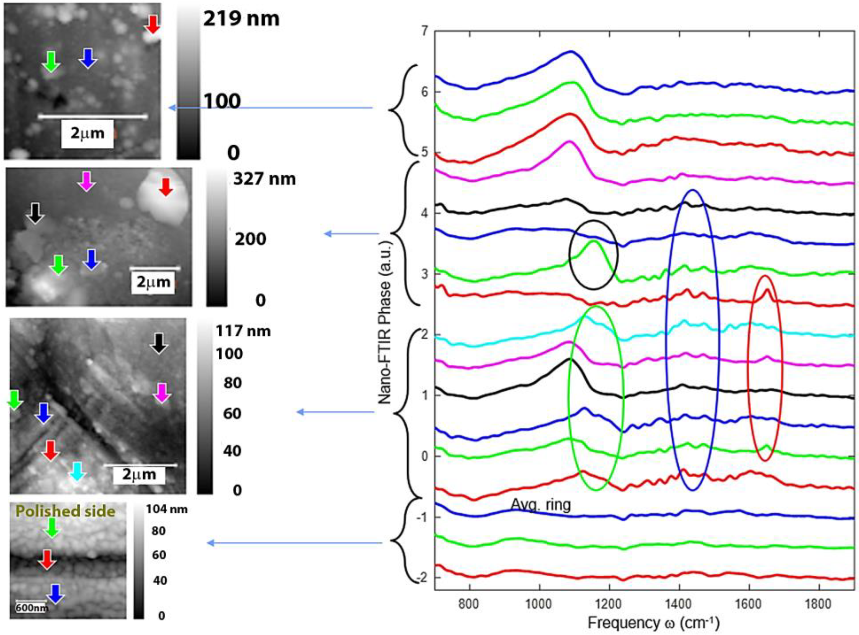 Nanomaterials 14 00330 g012