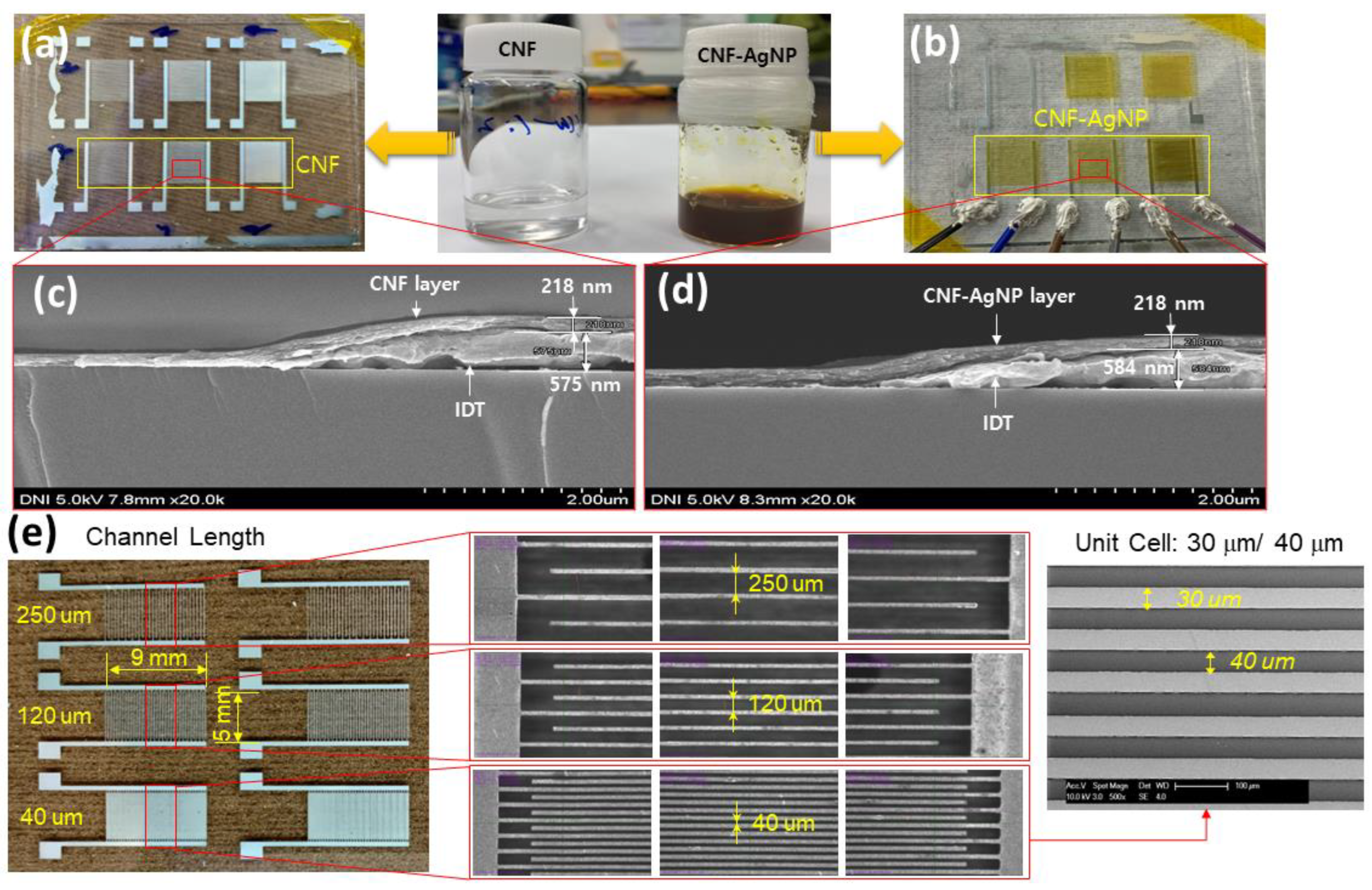 Nanomaterials 14 00343 g006