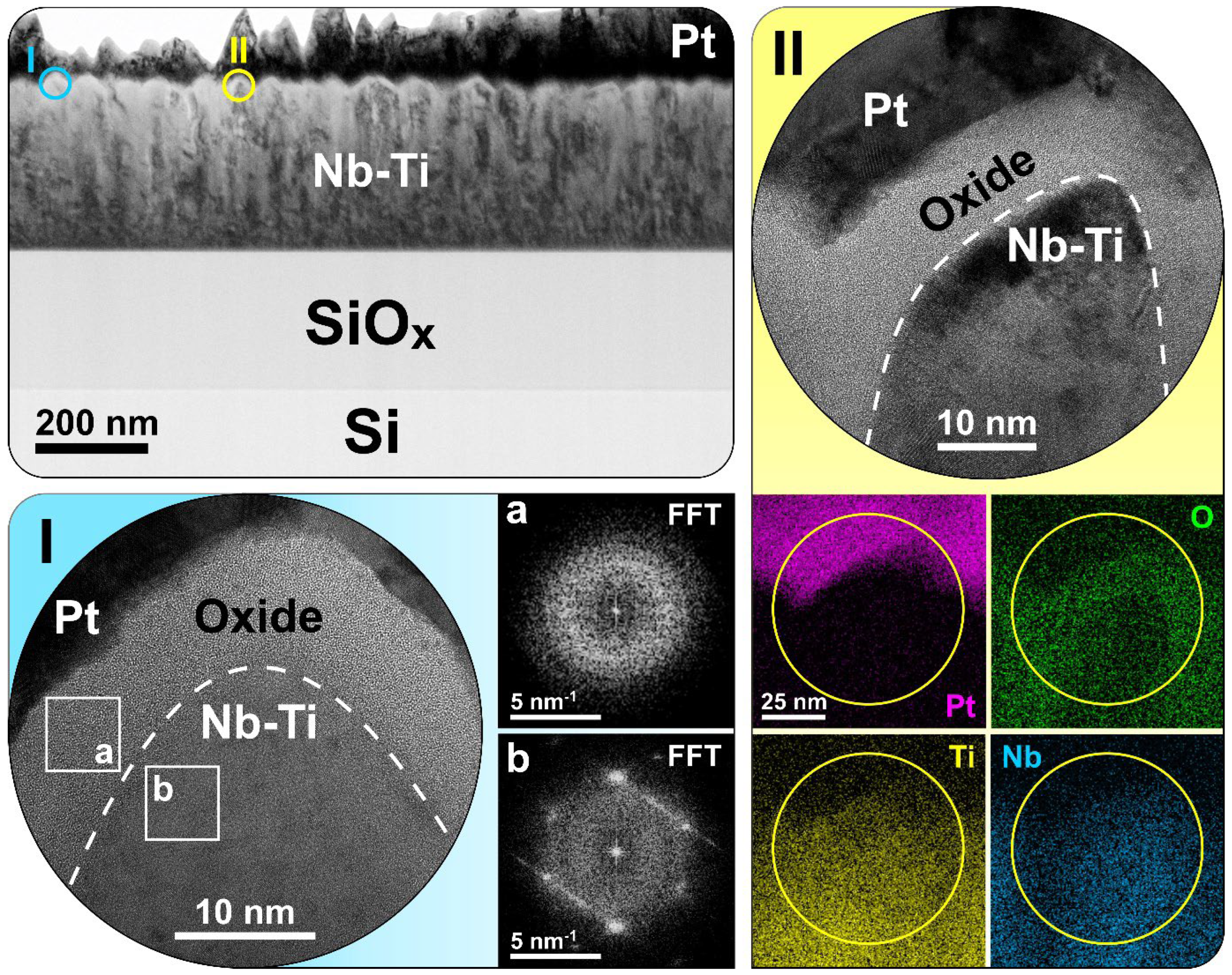 Nanomaterials 14 00381 g006