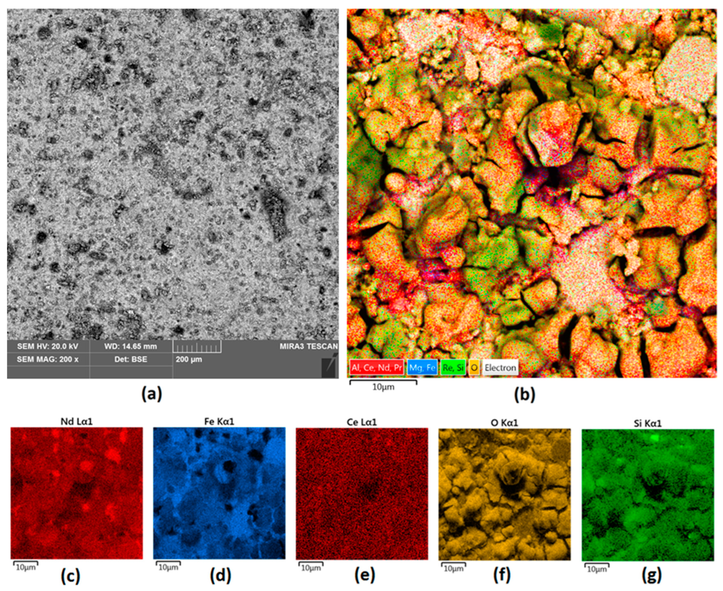 Nanomaterials 14 00431 g003
