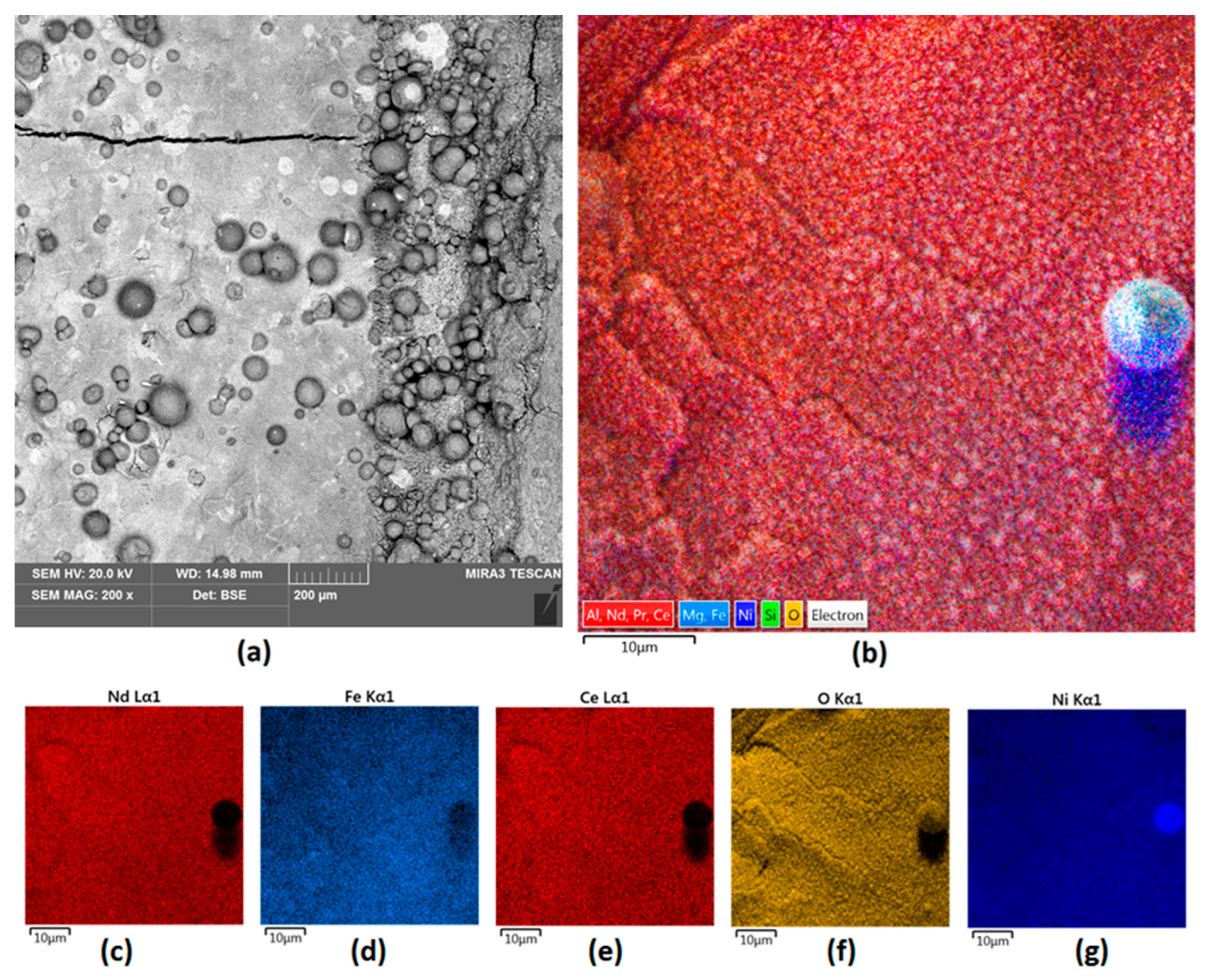 Nanomaterials 14 00431 g006