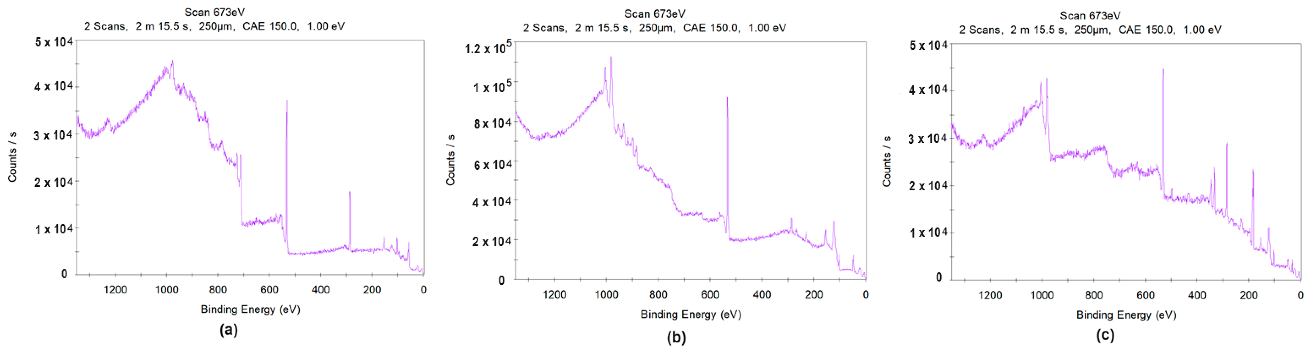 Nanomaterials 14 00431 g015