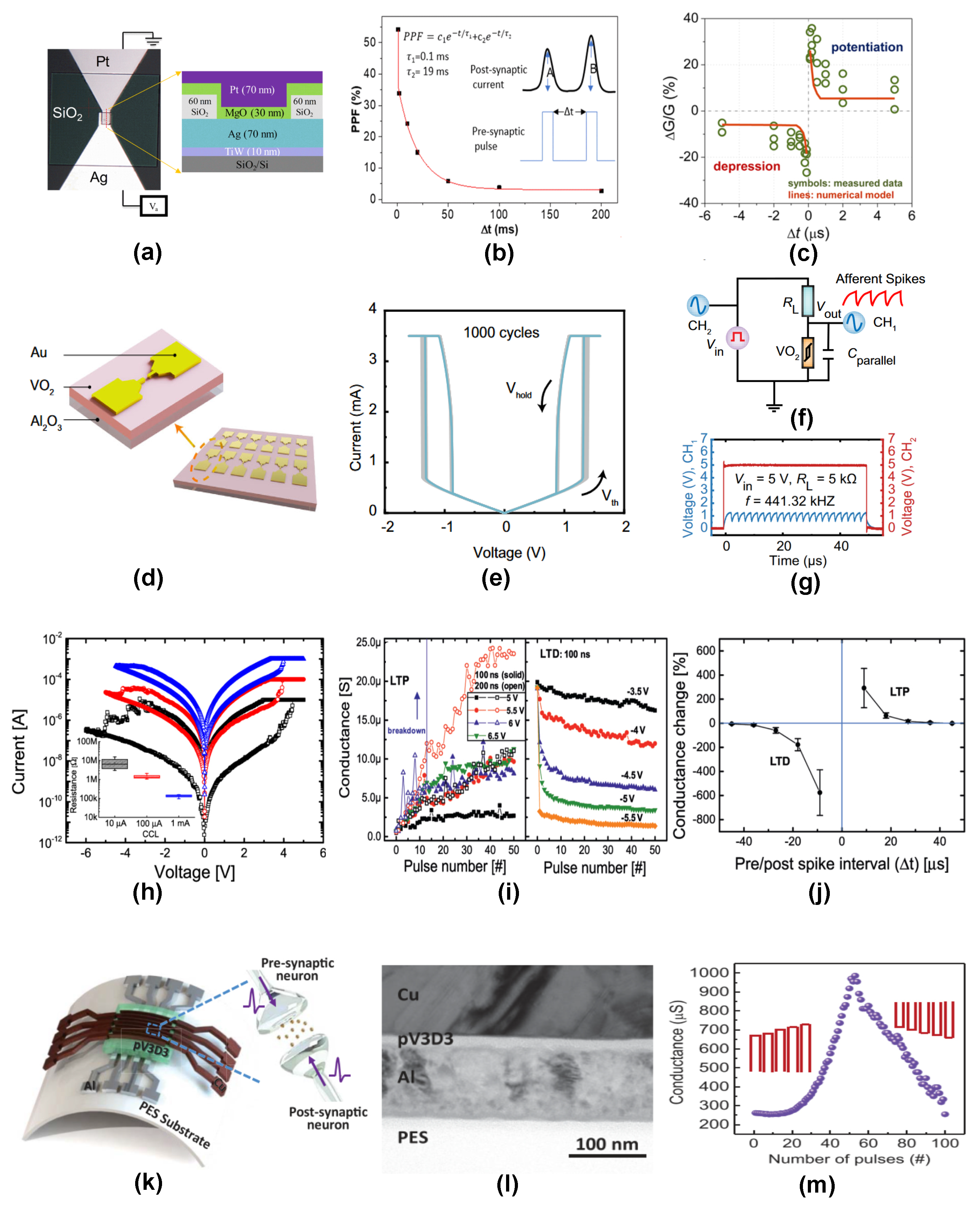Nanomaterials 14 00527 g005