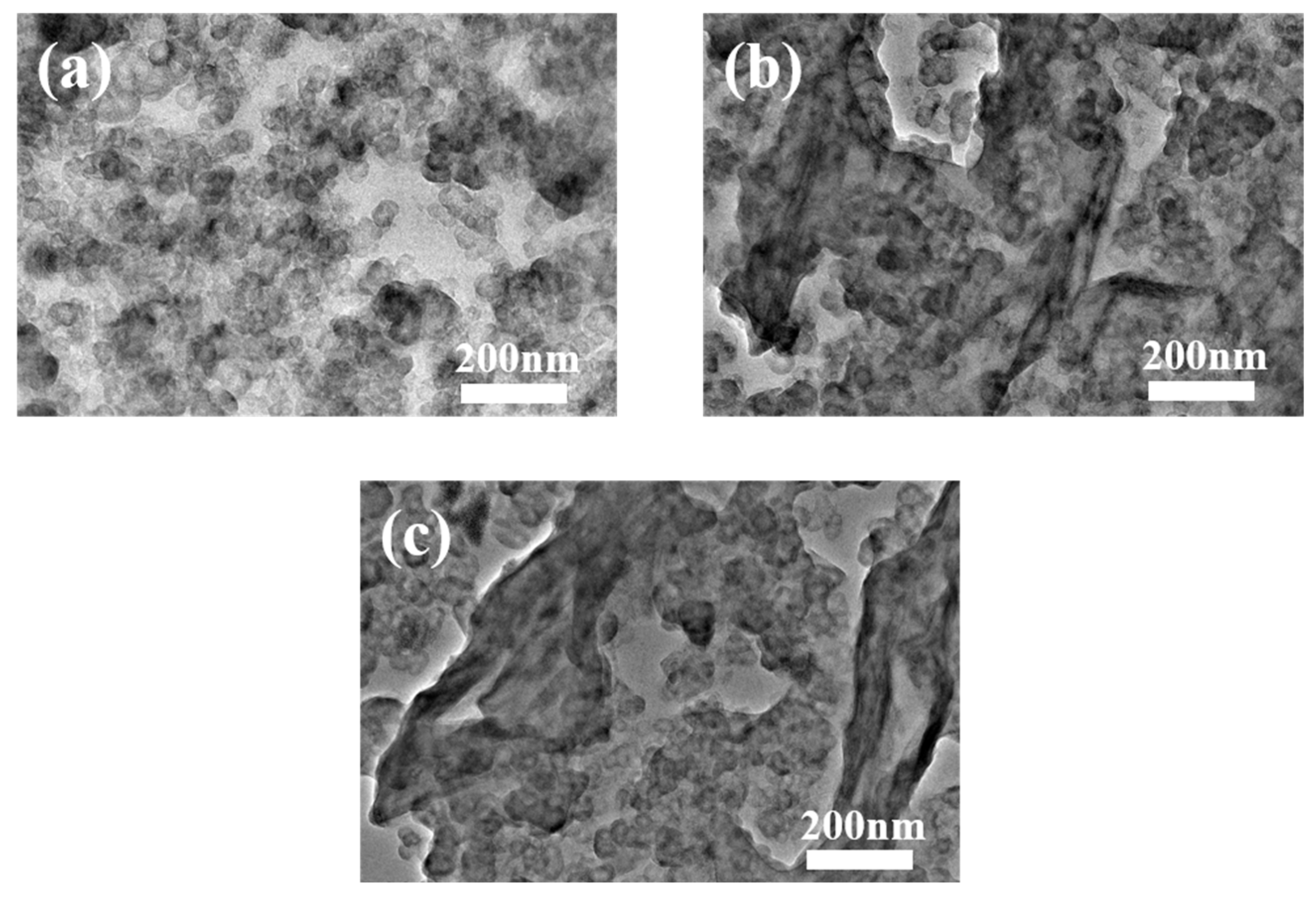 Nanomaterials 14 00534 g004