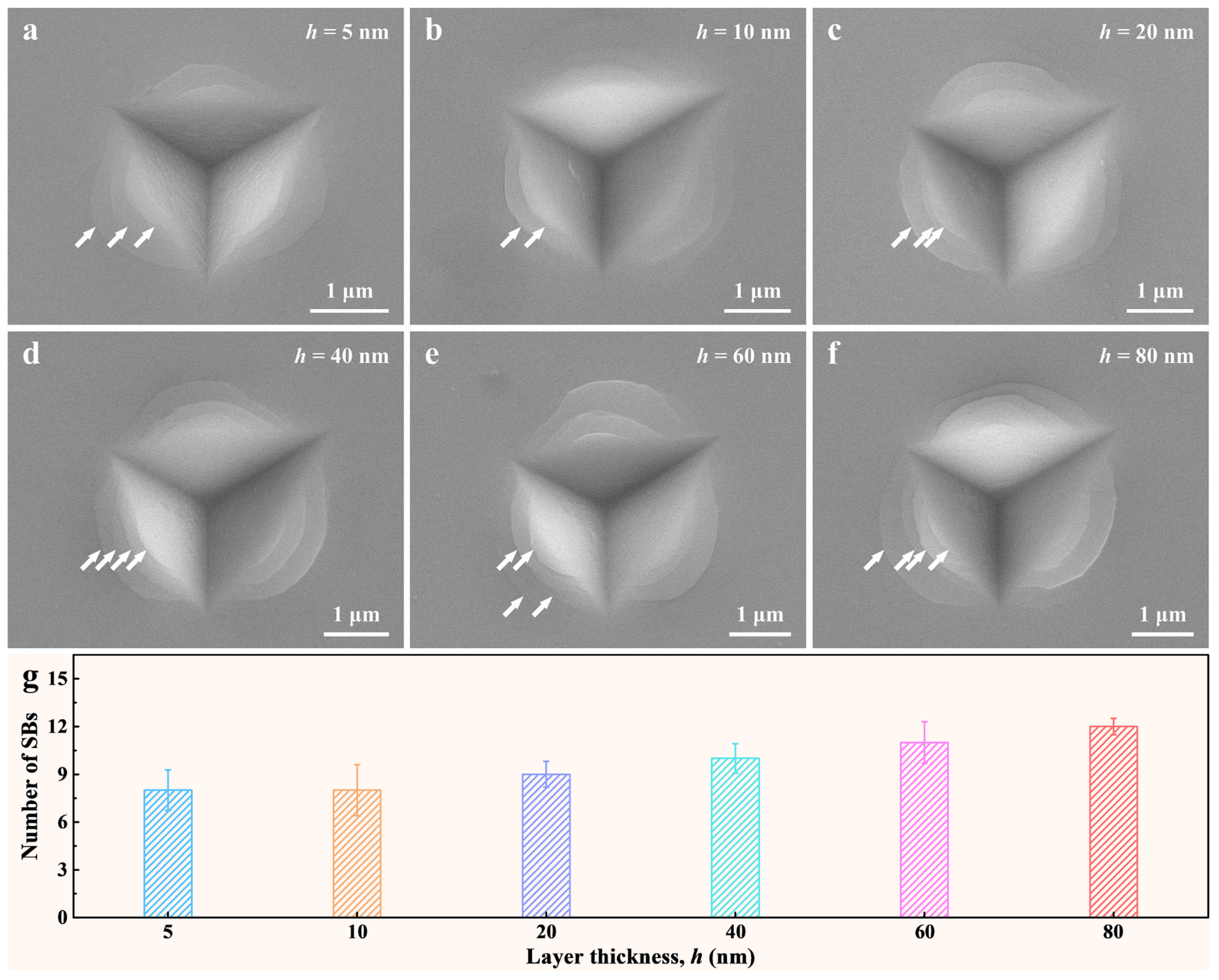Nanomaterials 14 00546 g005