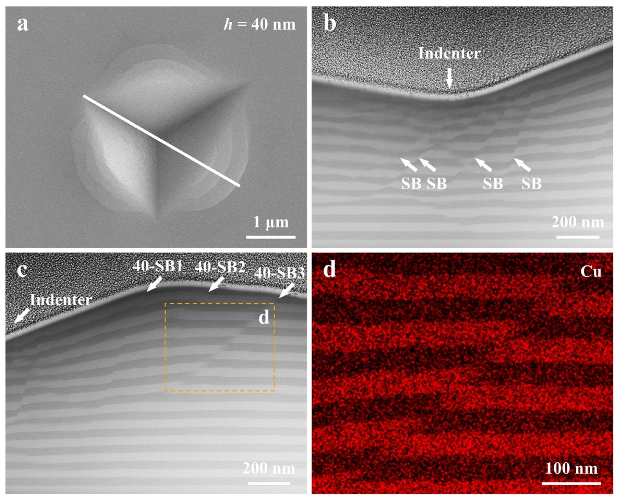 Nanomaterials 14 00546 g007