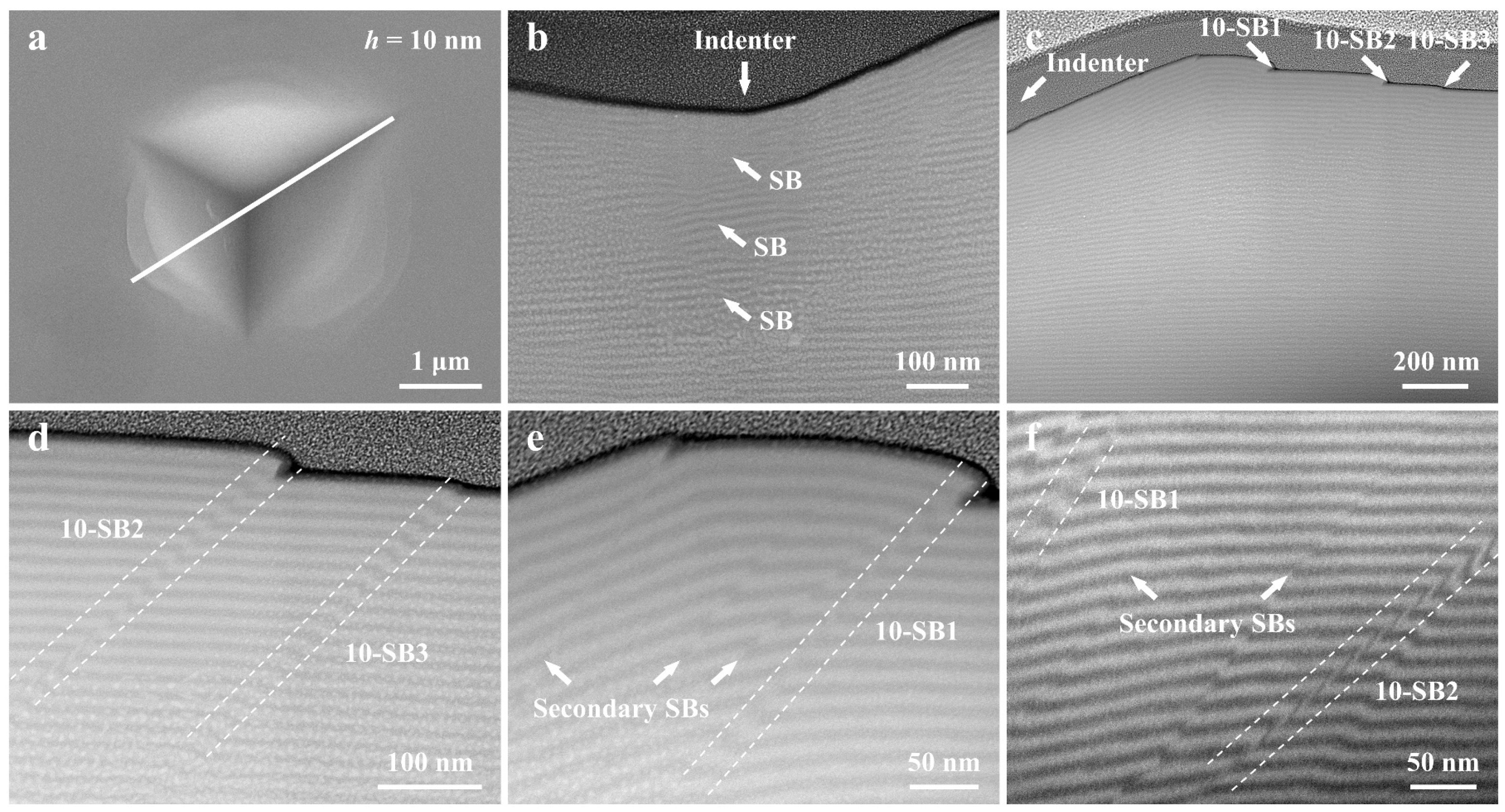 Nanomaterials 14 00546 g008
