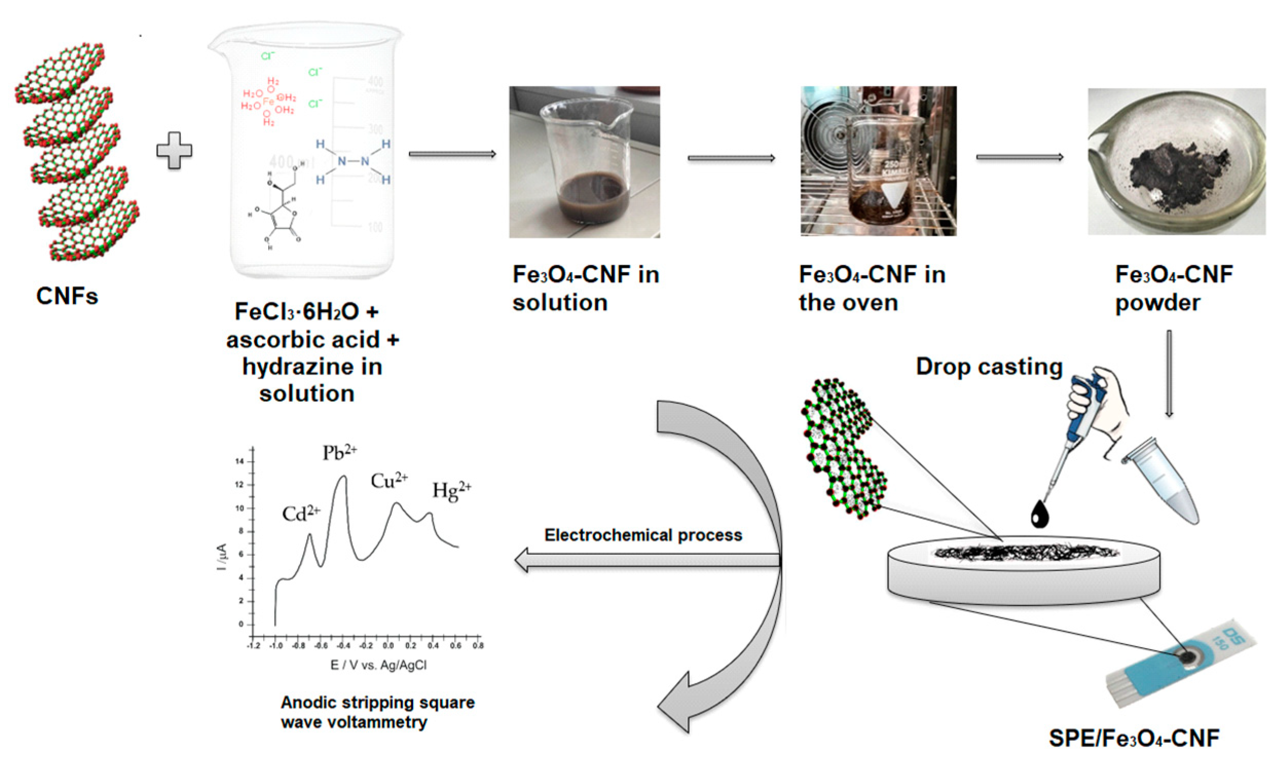 Nanomaterials 14 00702 g001
