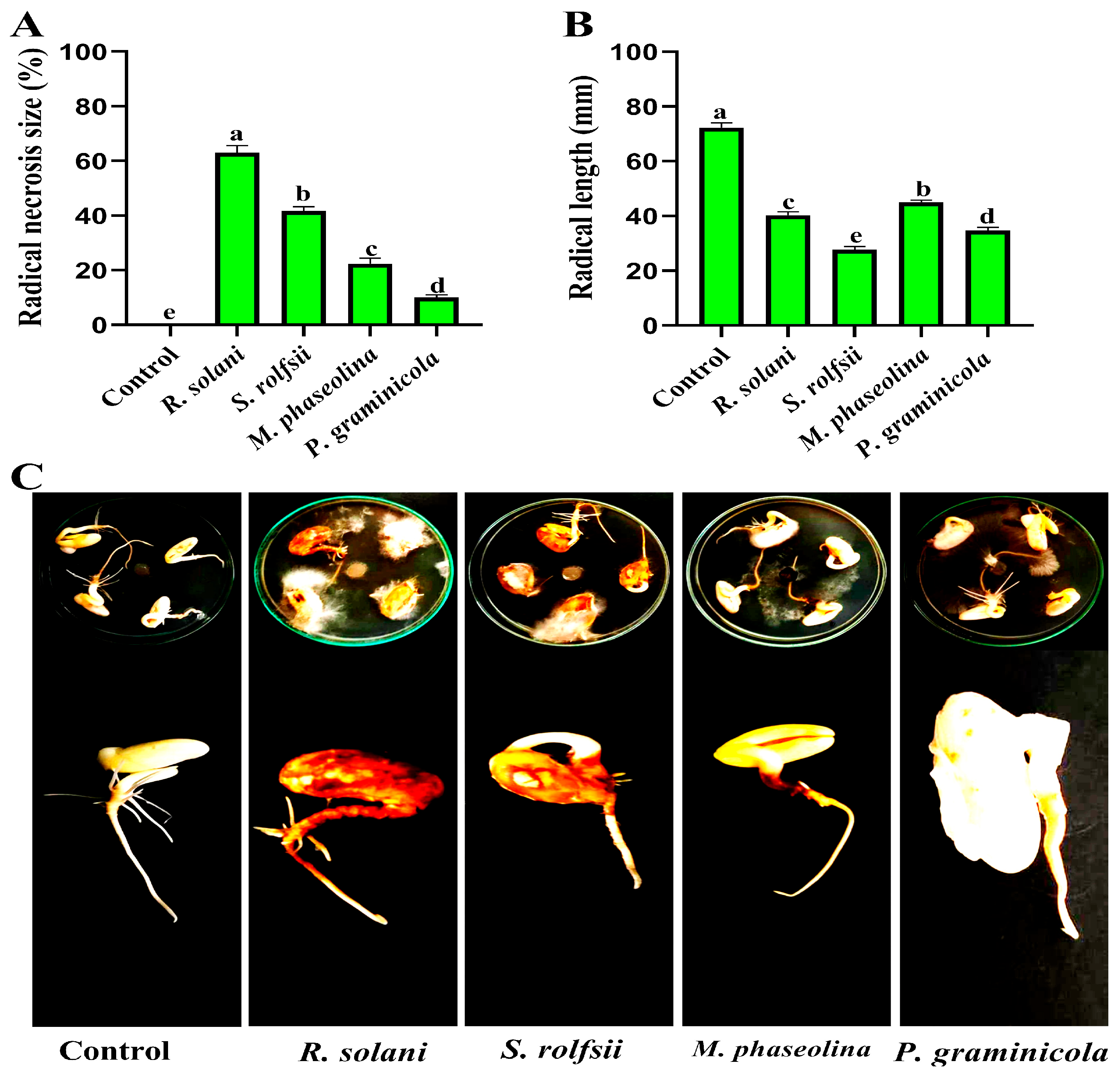 Nanomaterials 14 00710 g002