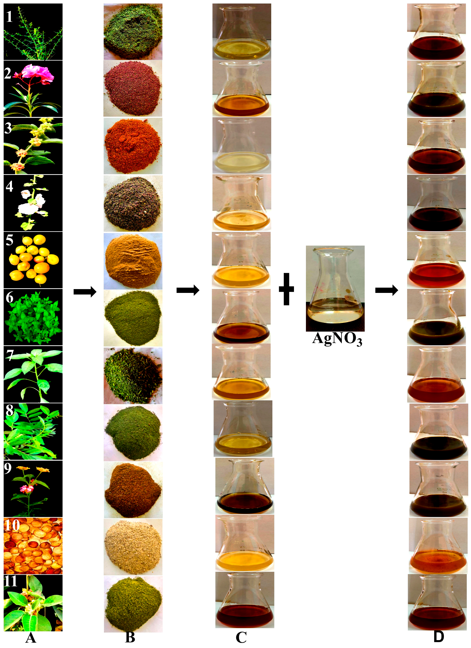 Nanomaterials 14 00710 g005