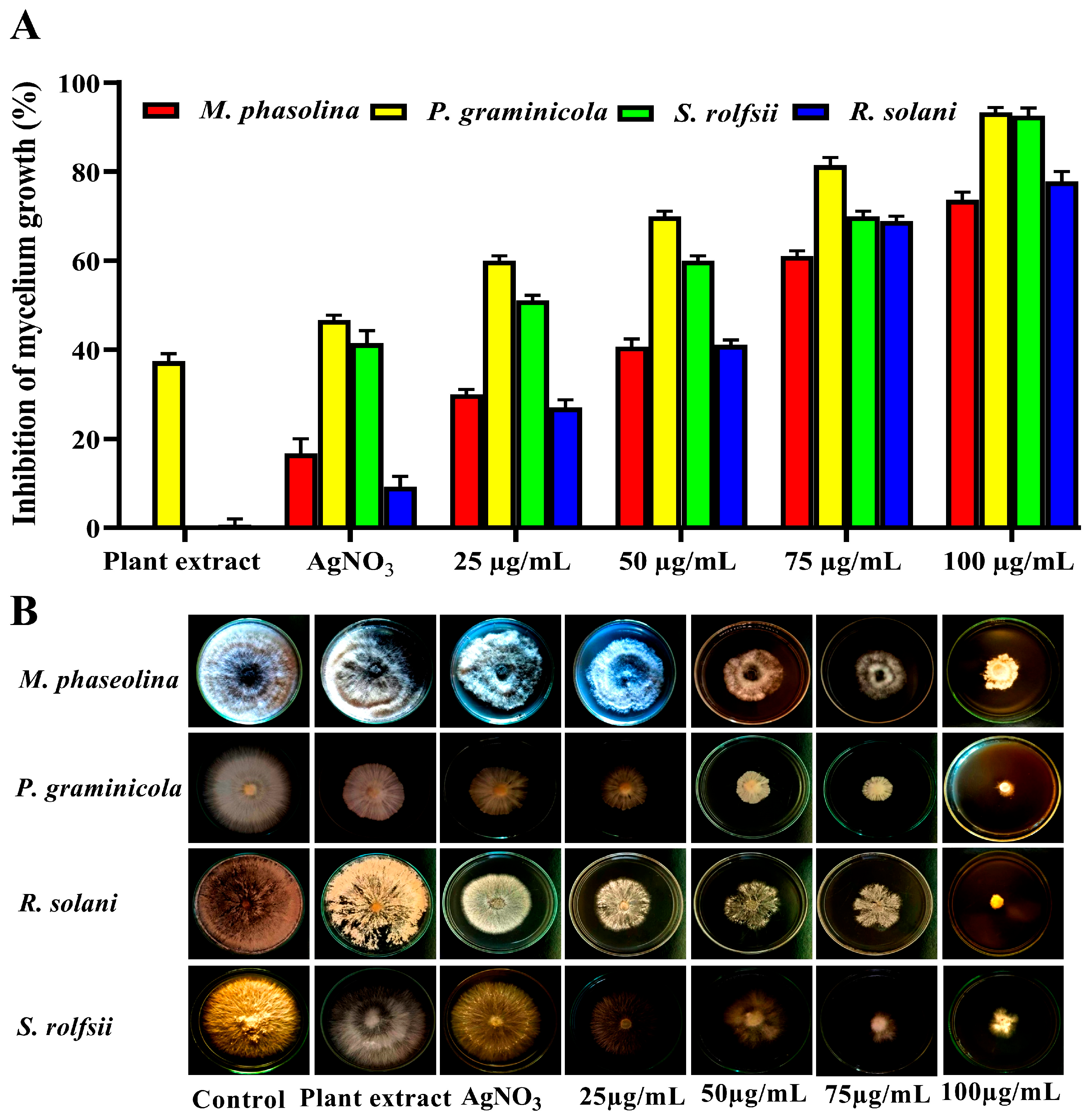 Nanomaterials 14 00710 g010