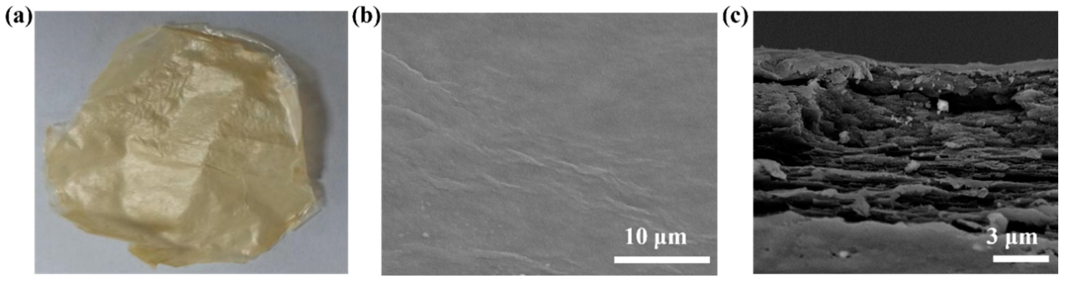 Nanomaterials 14 00740 g005