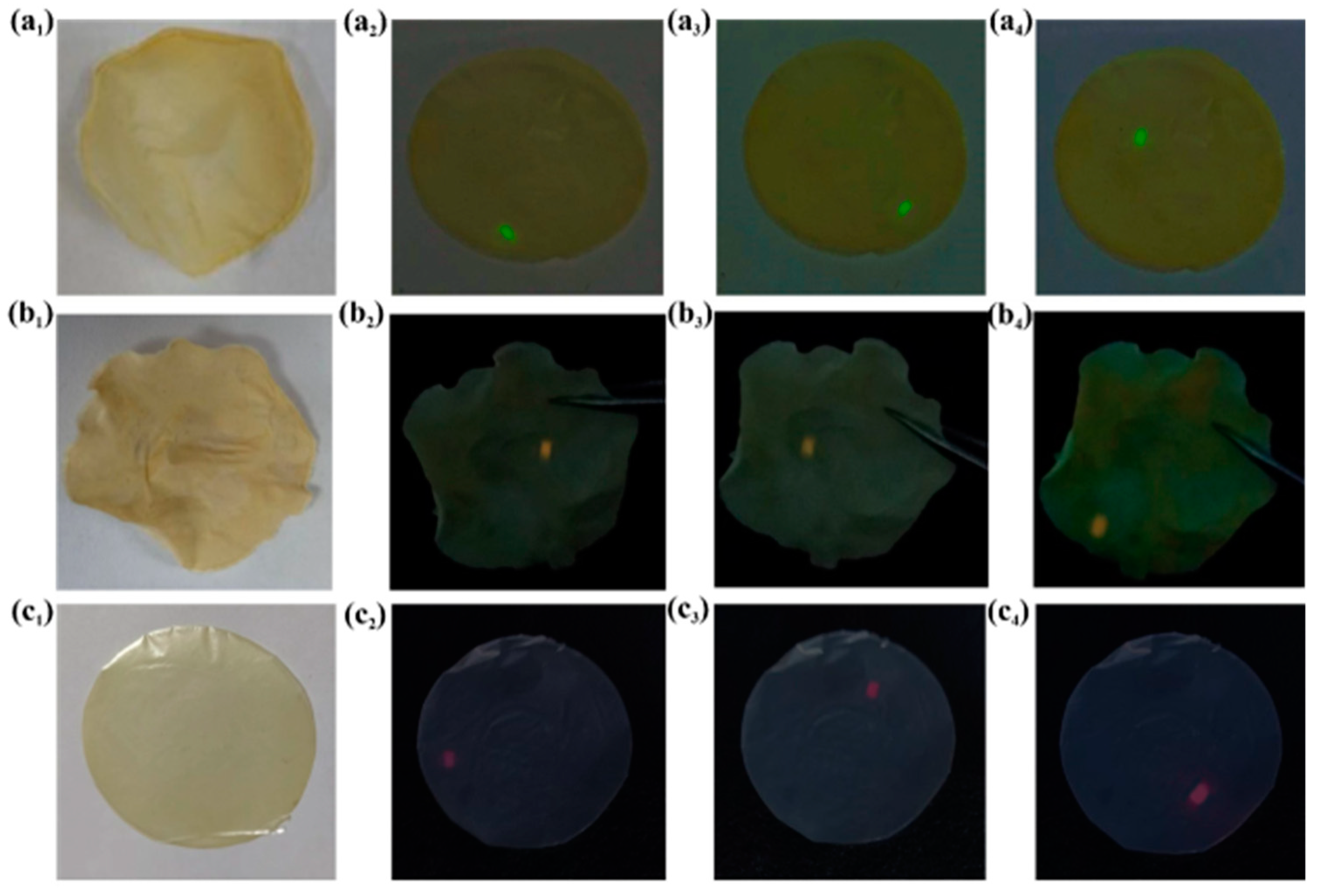 Nanomaterials 14 00740 g007