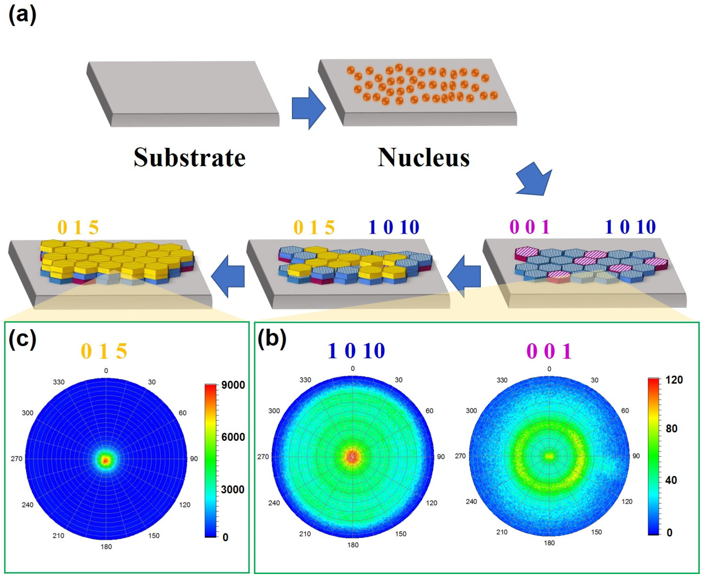 Nanomaterials 14 00747 g002