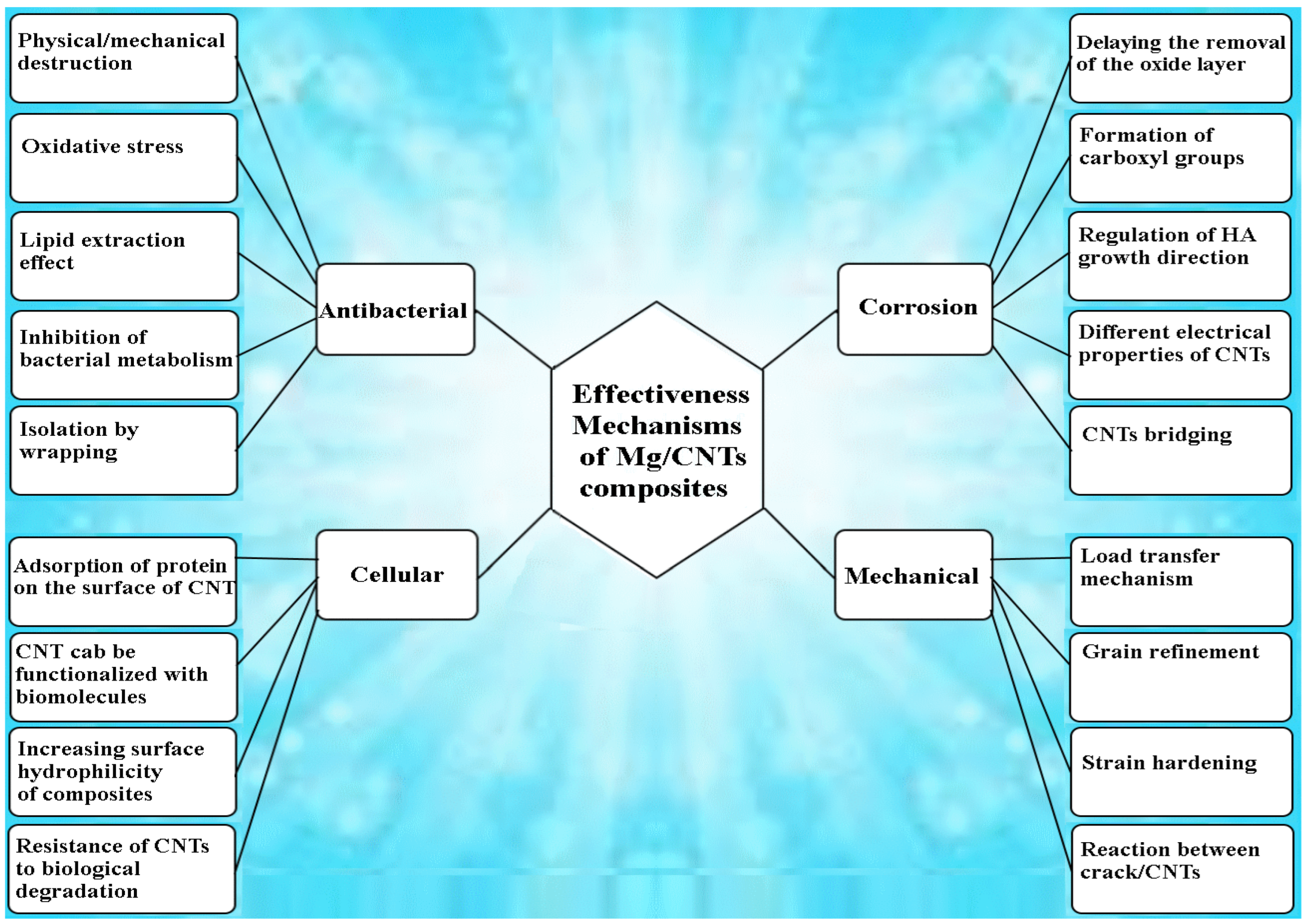 Nanomaterials 14 00756 g001