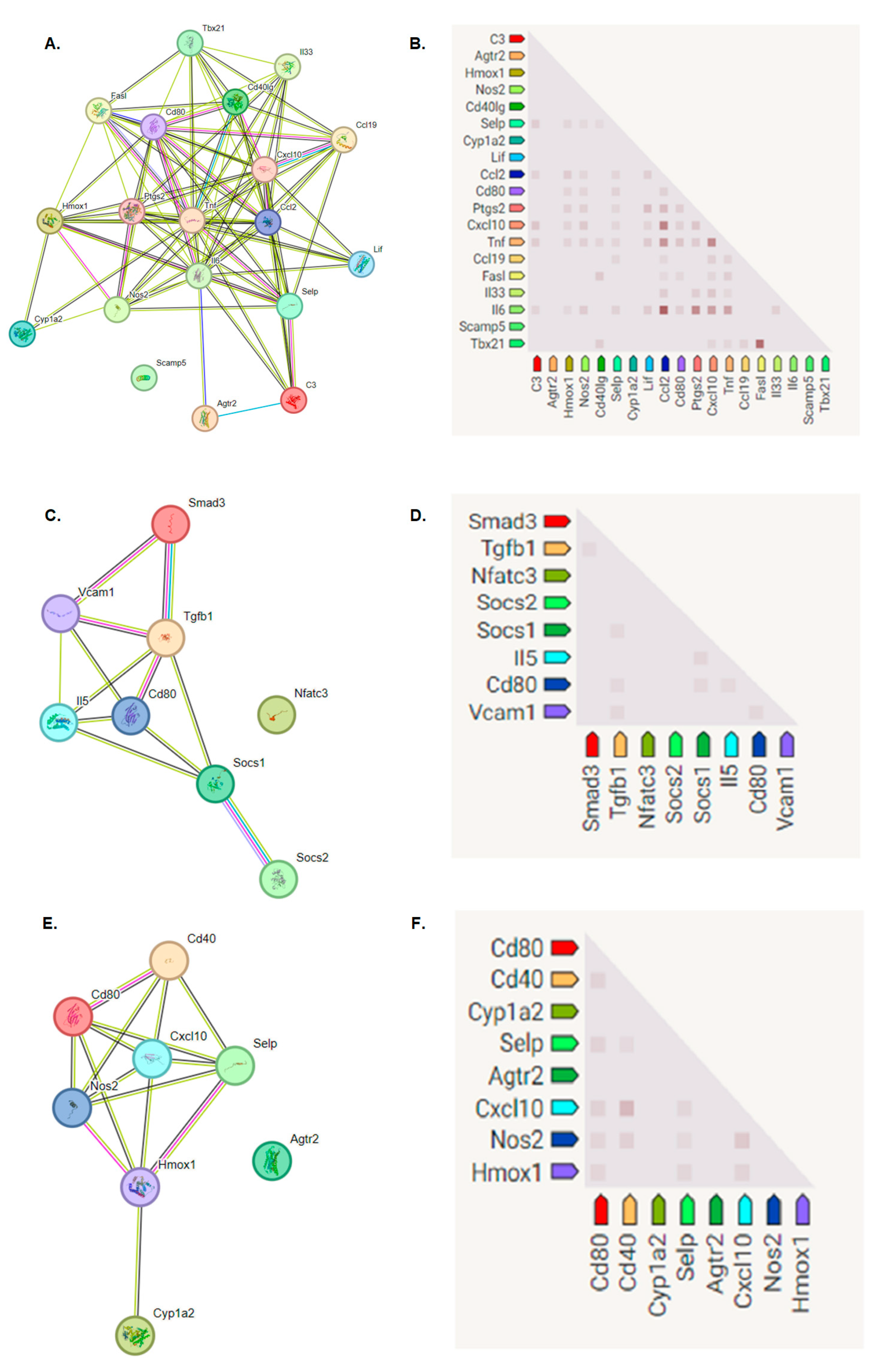 Nanomaterials 14 00760 g010